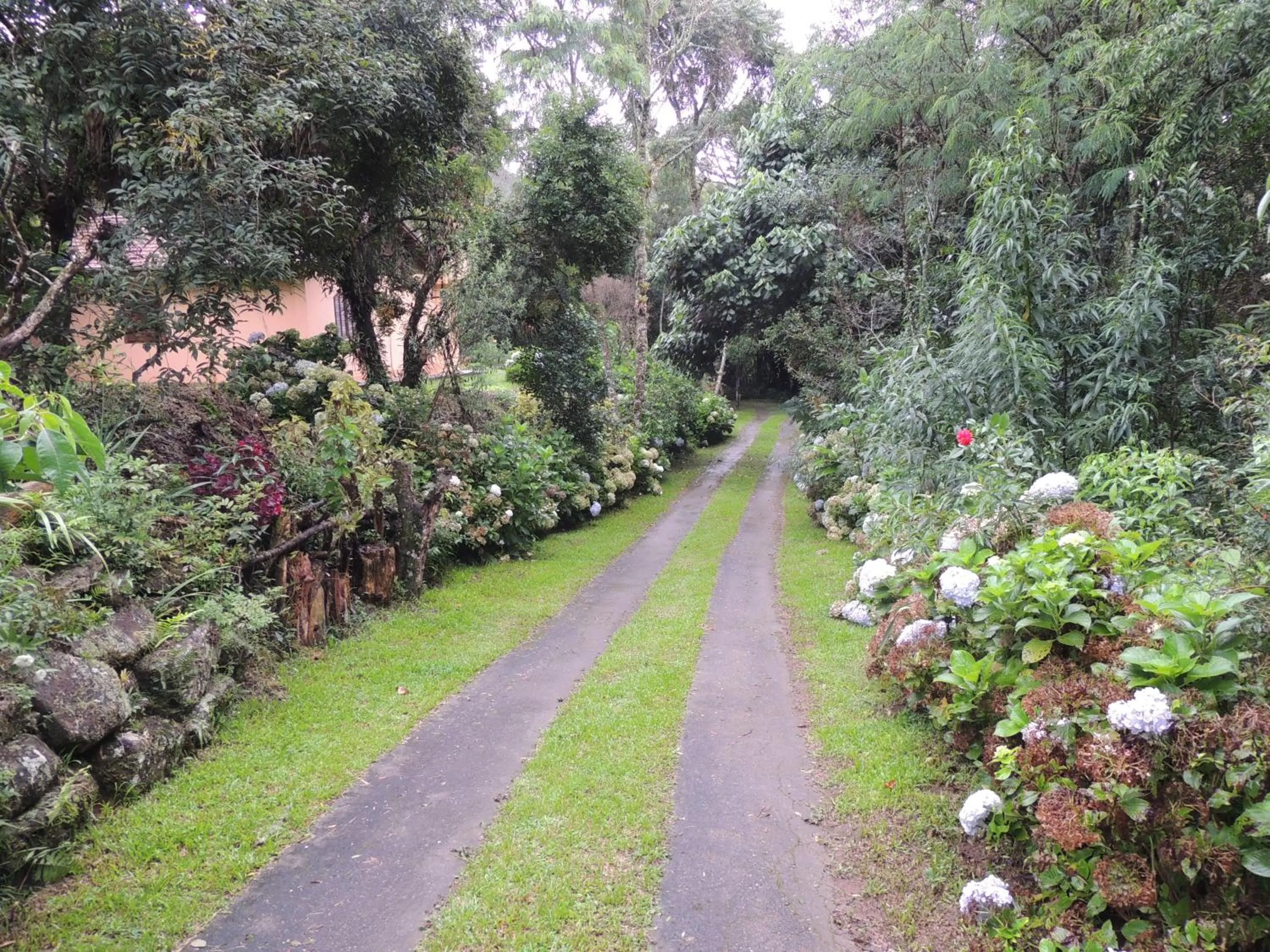 Other in Tô na Roça