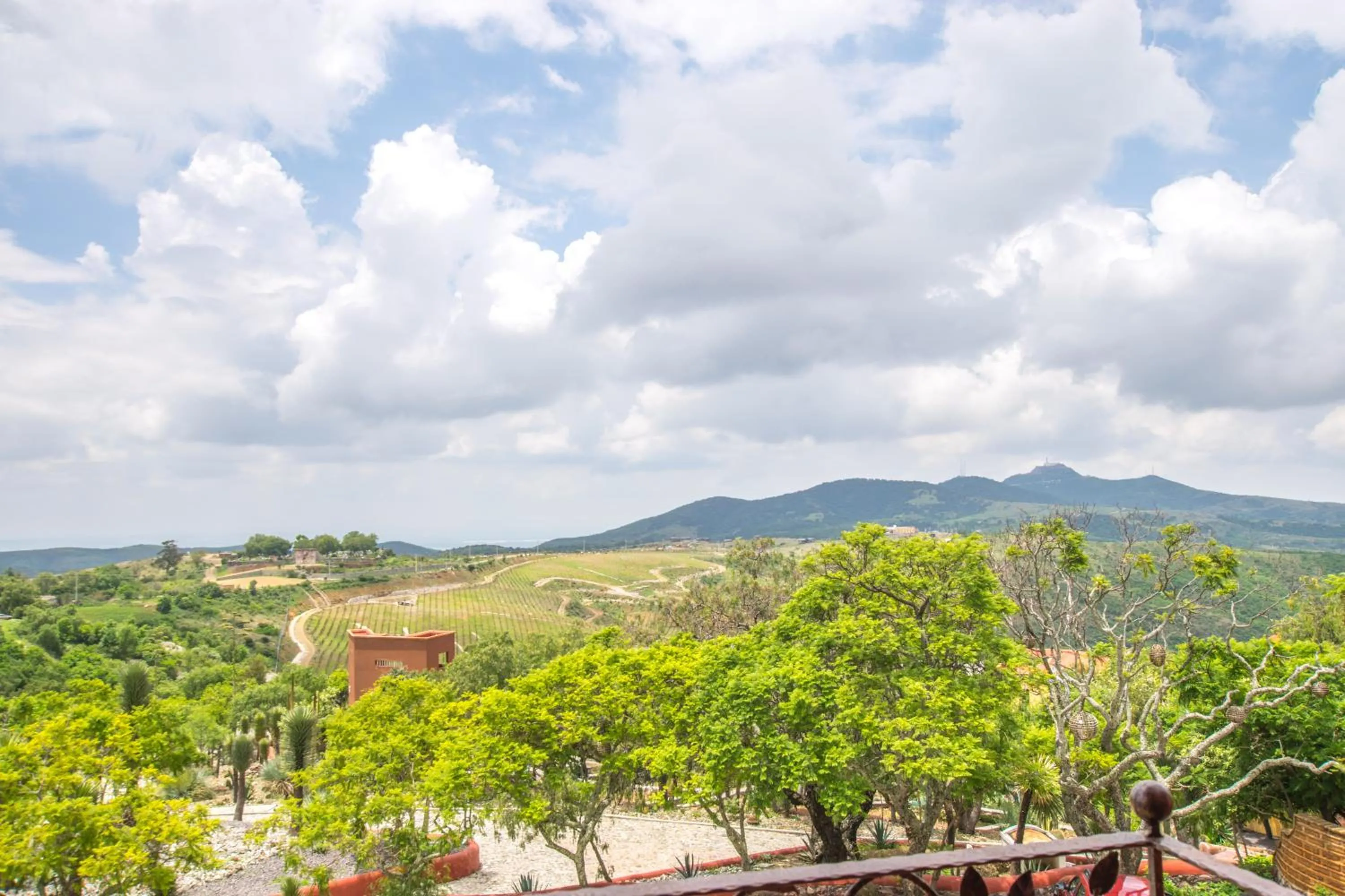 Mountain view in Hotel Camino de Vinos
