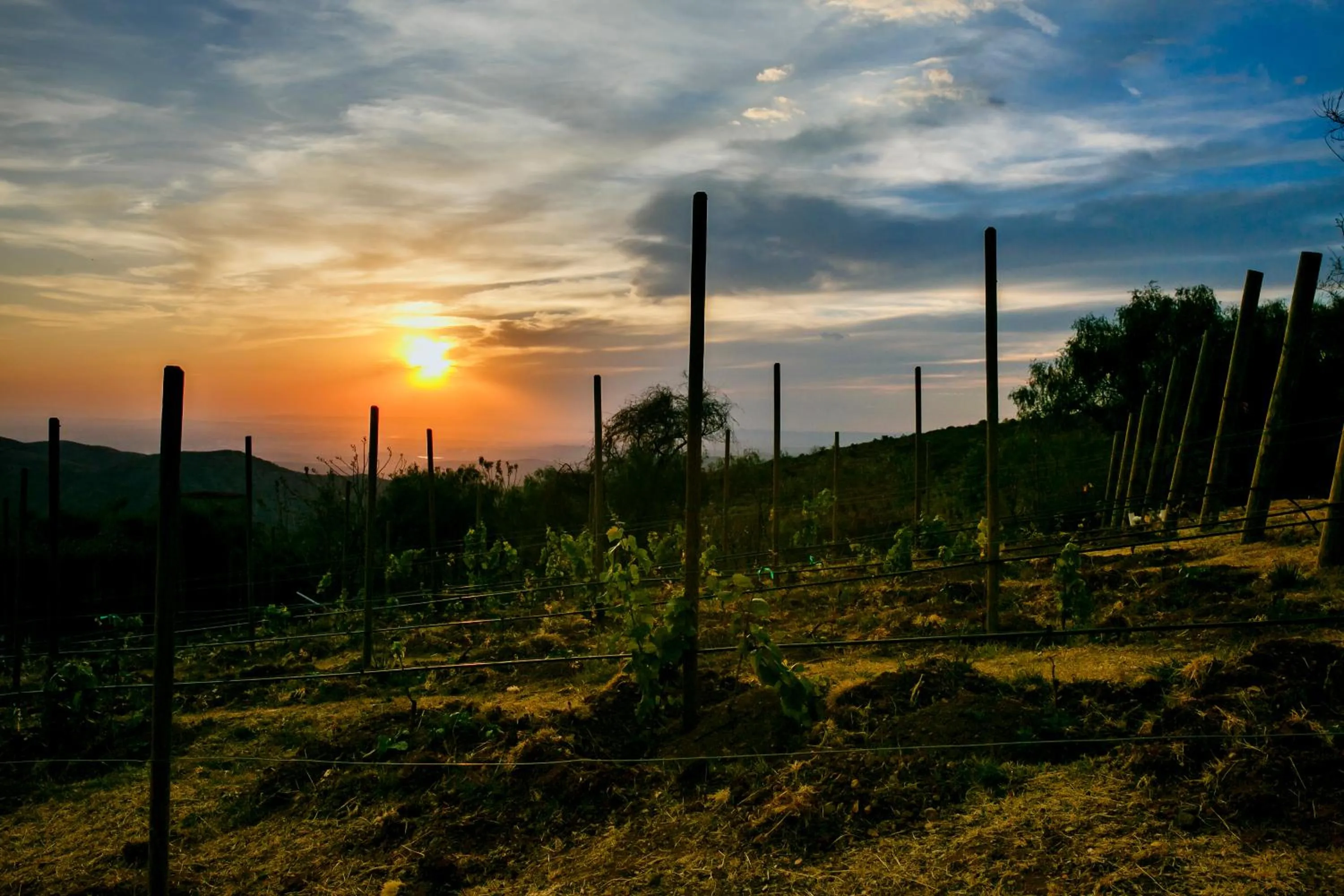 Hotel Camino de Vinos