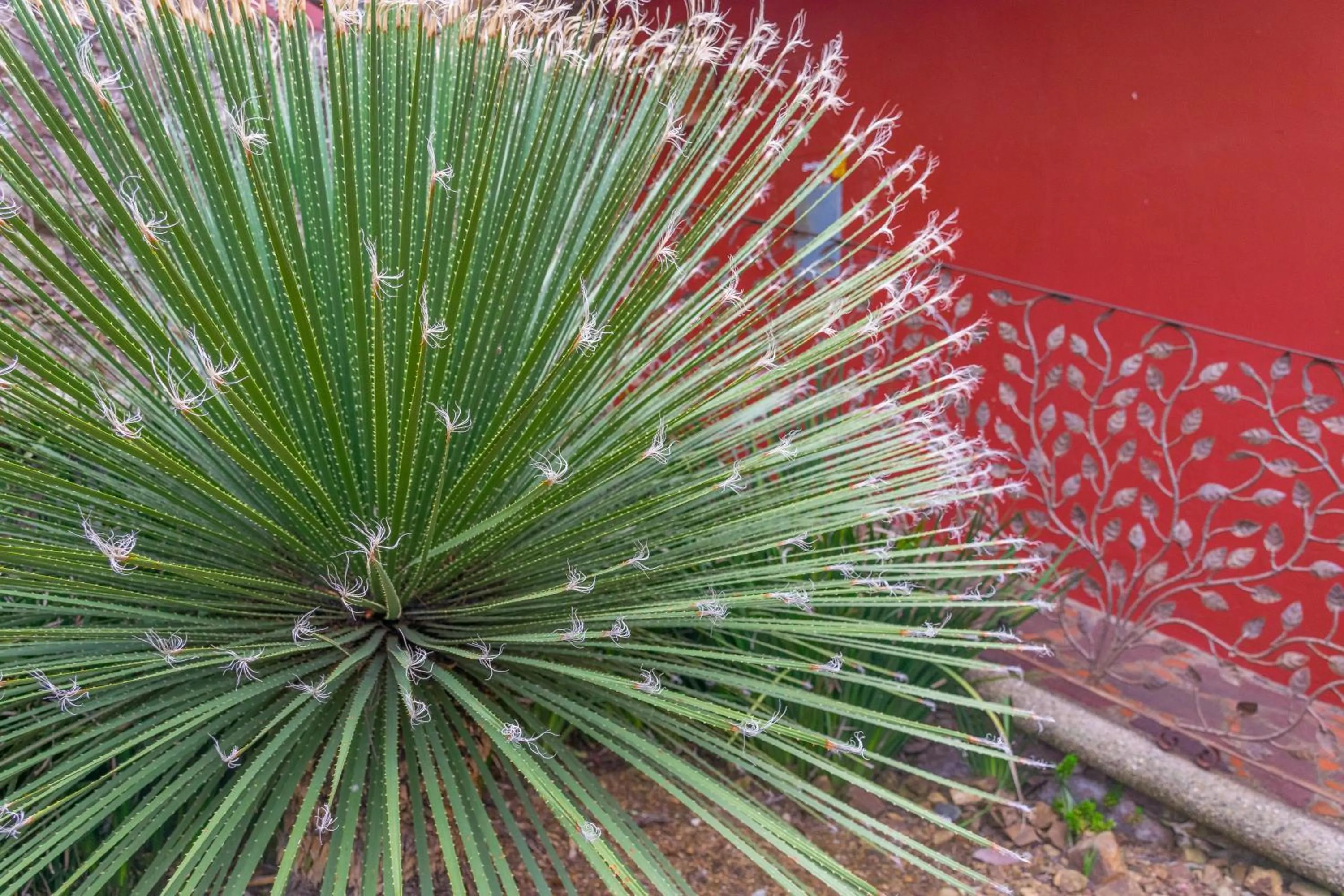 Hotel Camino de Vinos