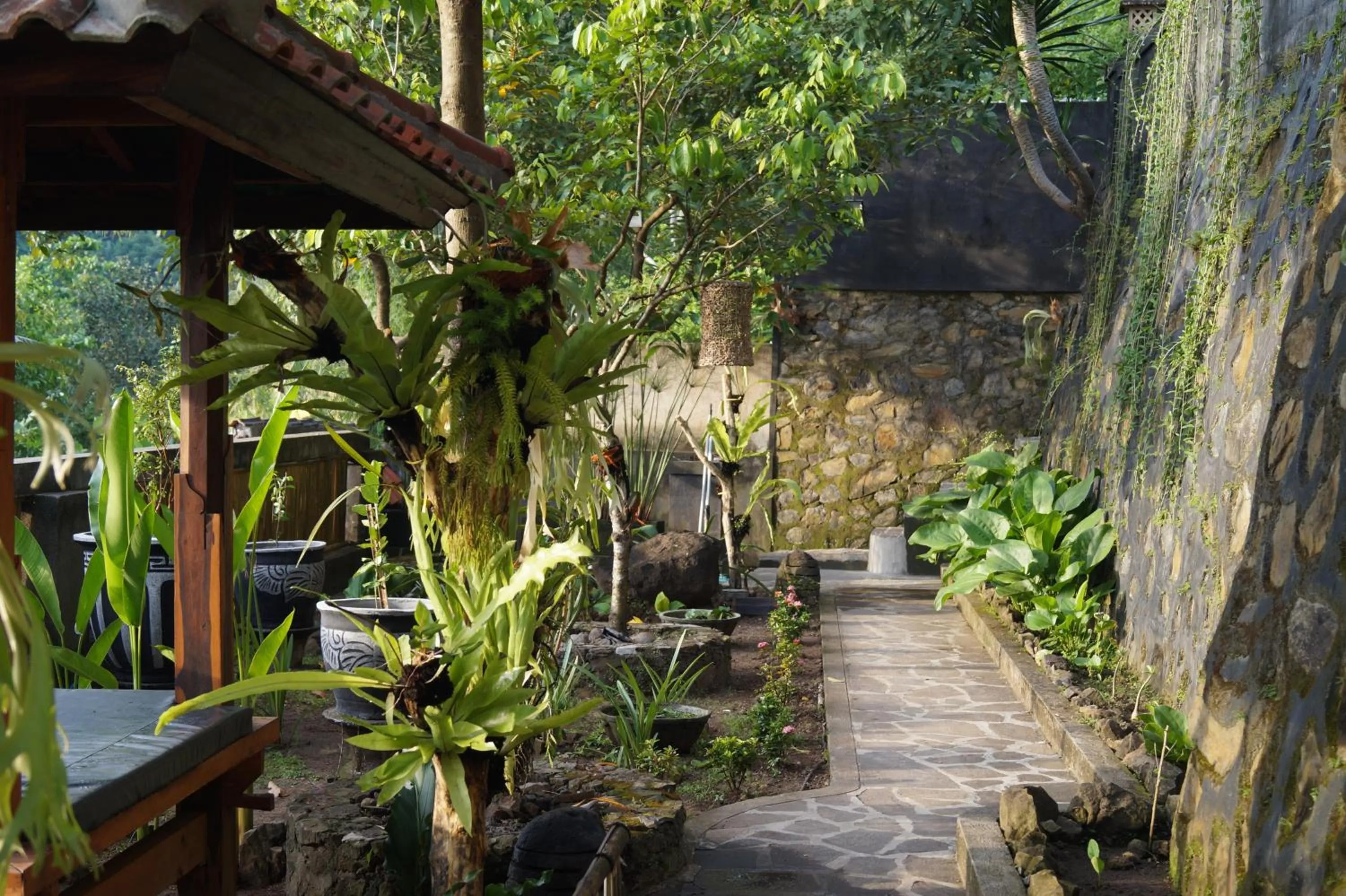 Garden in Sasak Lebung Home