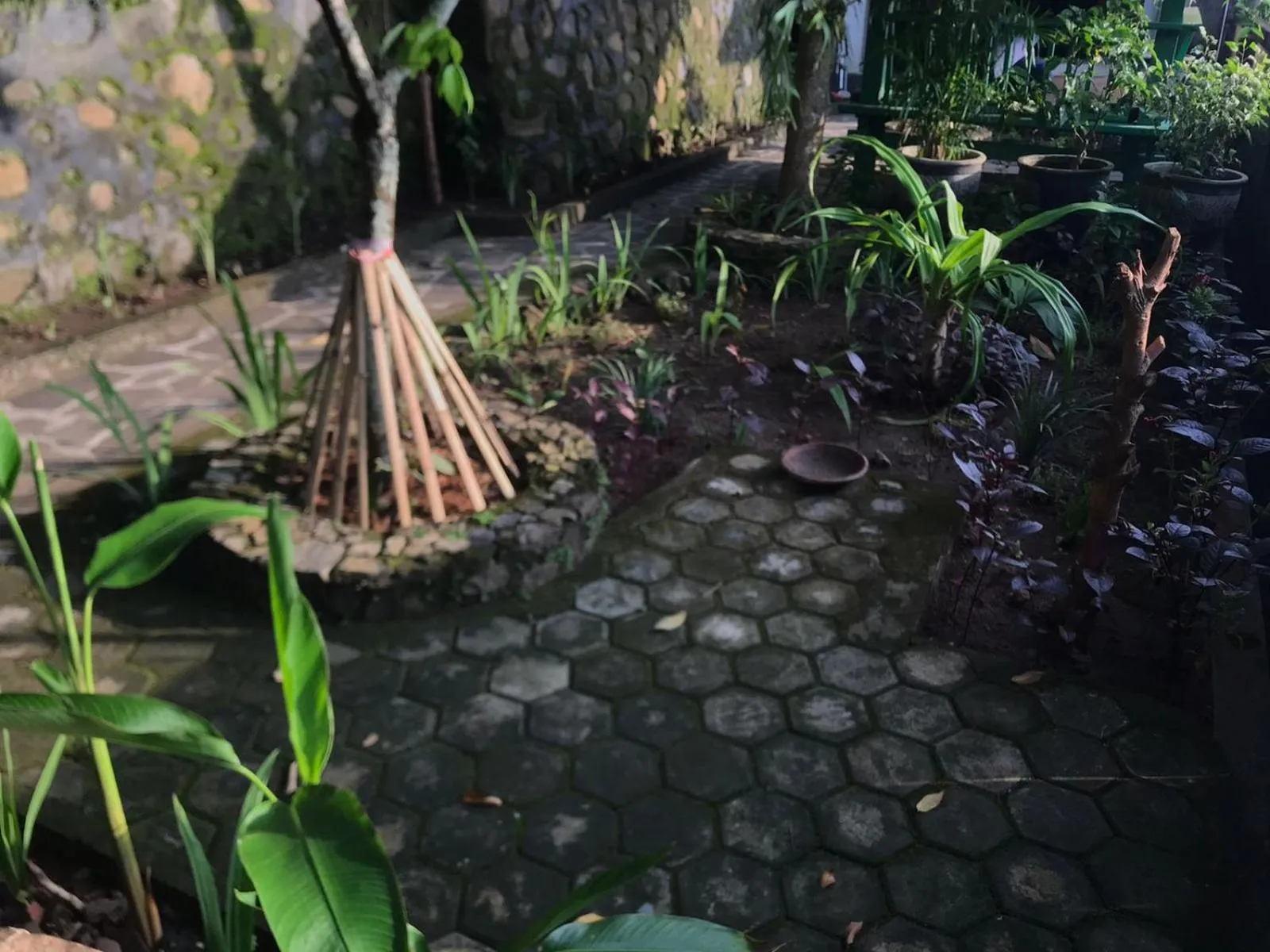 Garden in Sasak Lebung Home