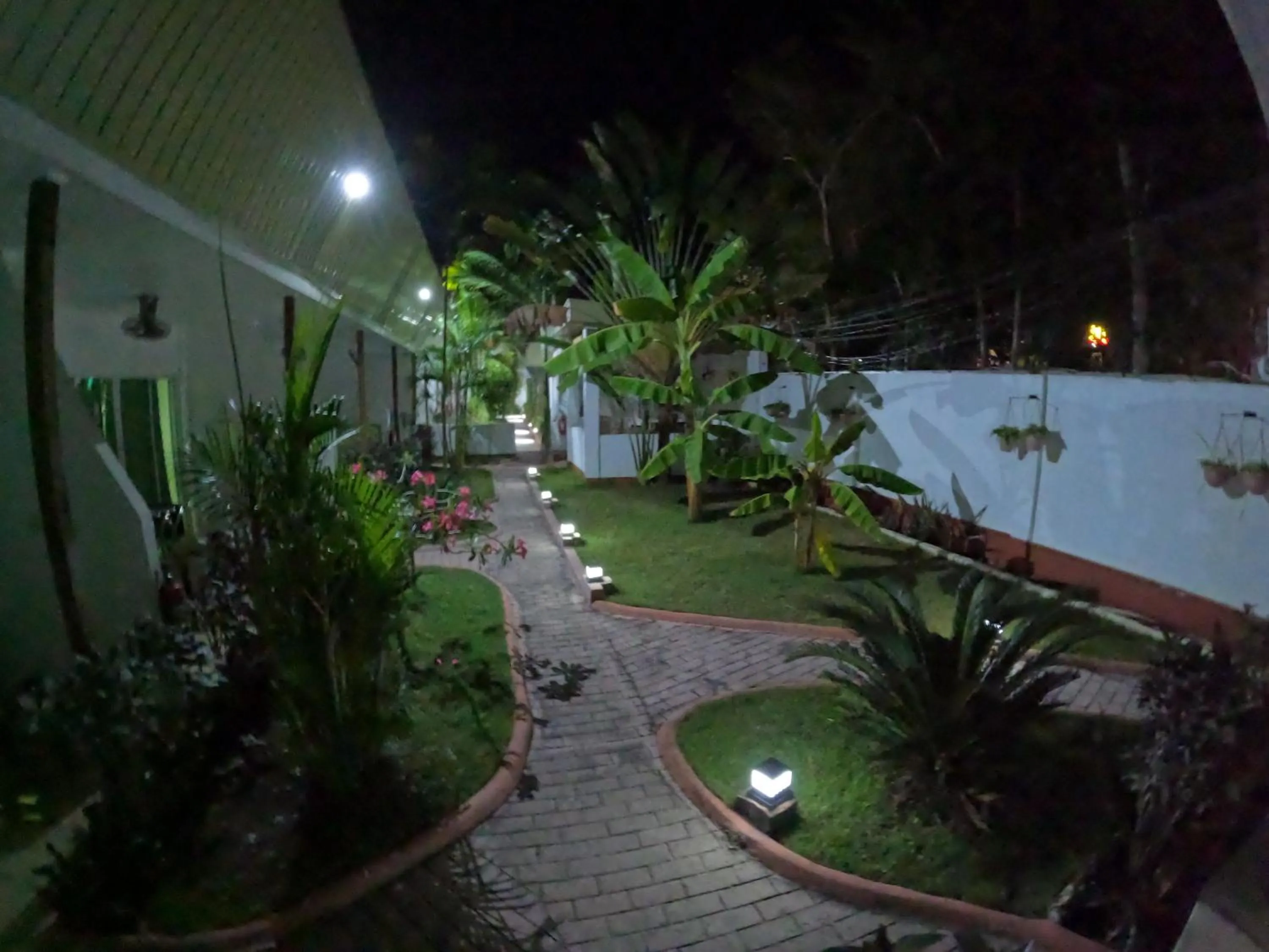 Garden in Alona Gecko Inn