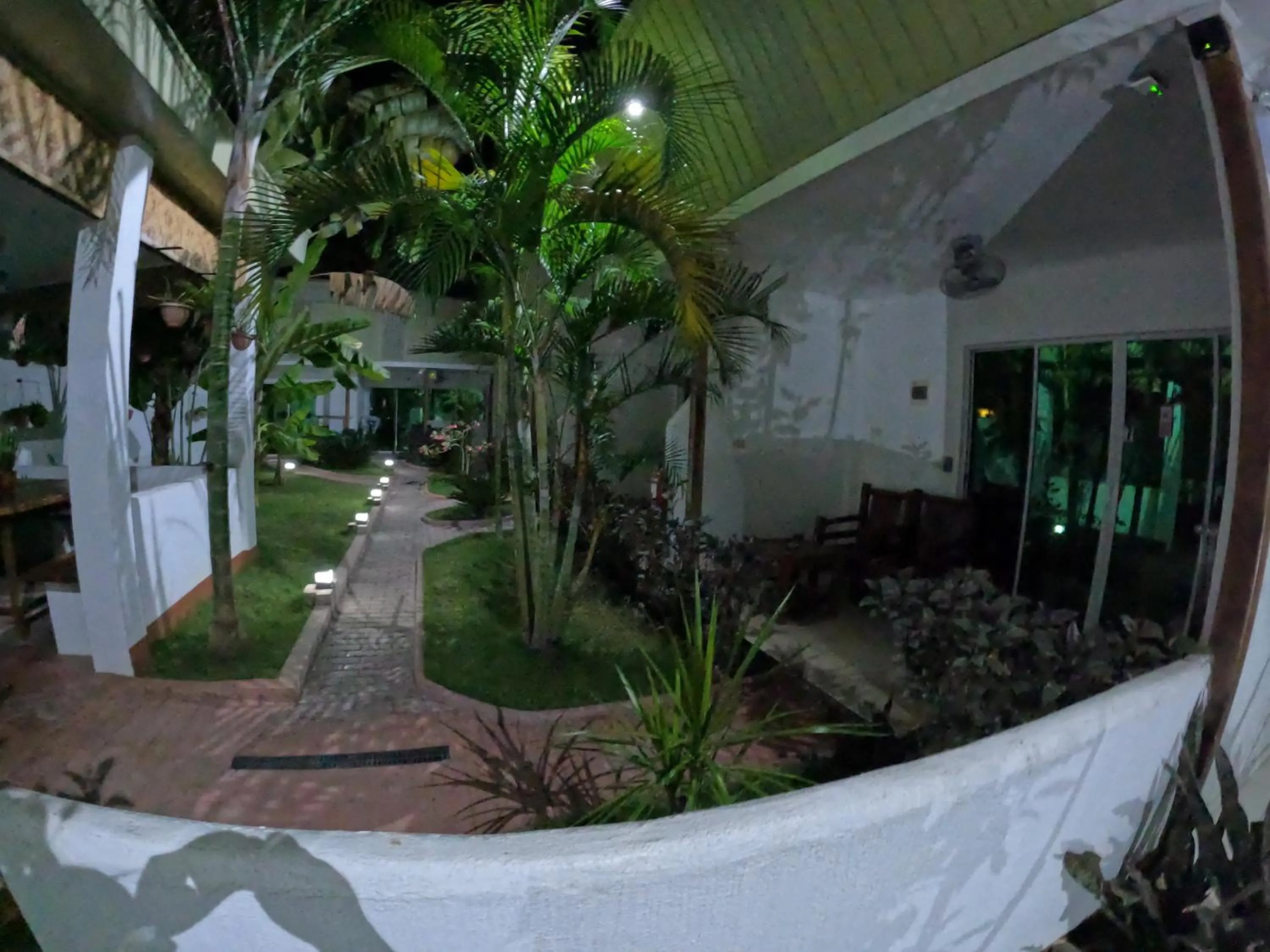 Garden in Alona Gecko Inn