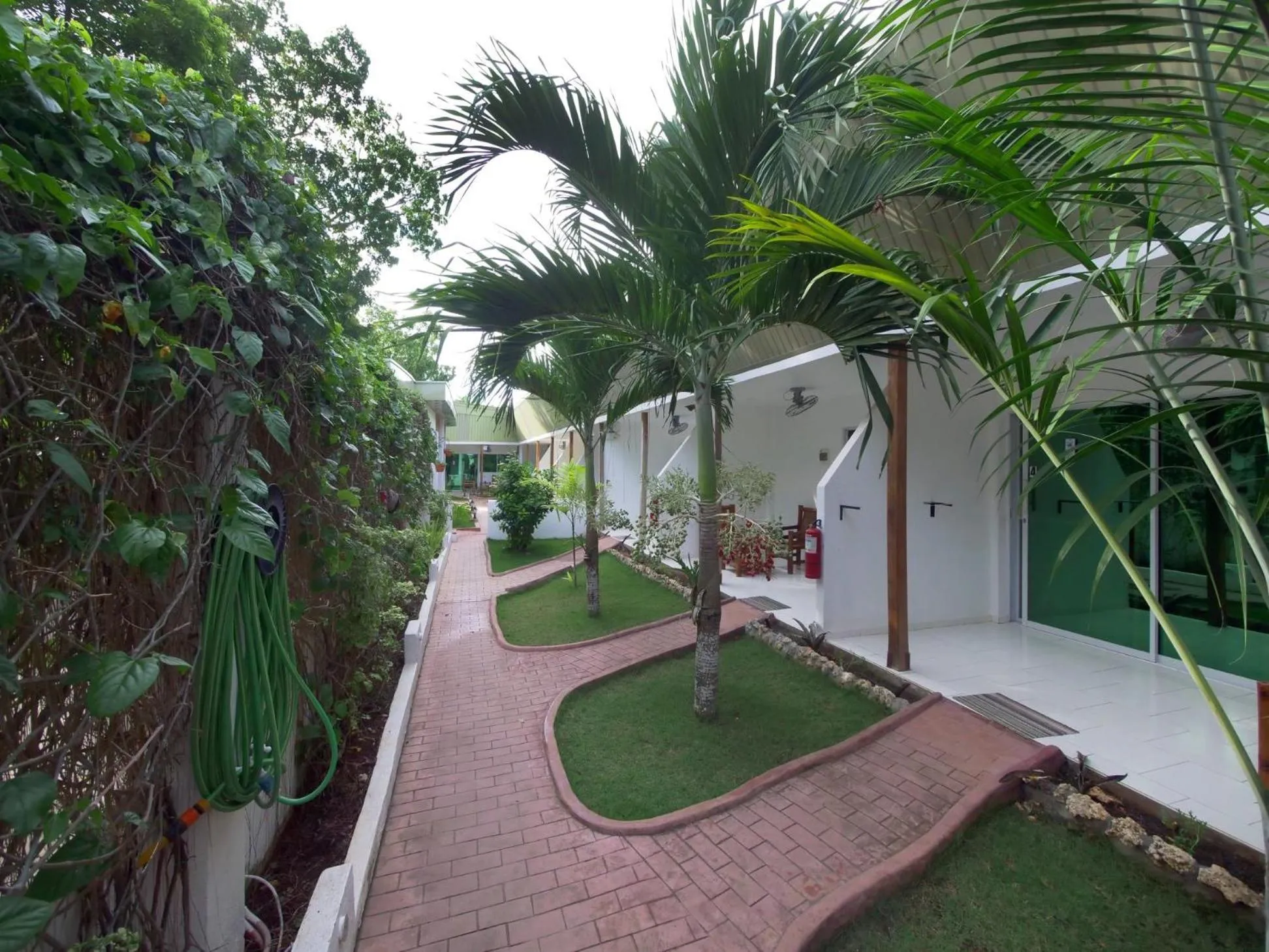 Property building in Alona Gecko Inn