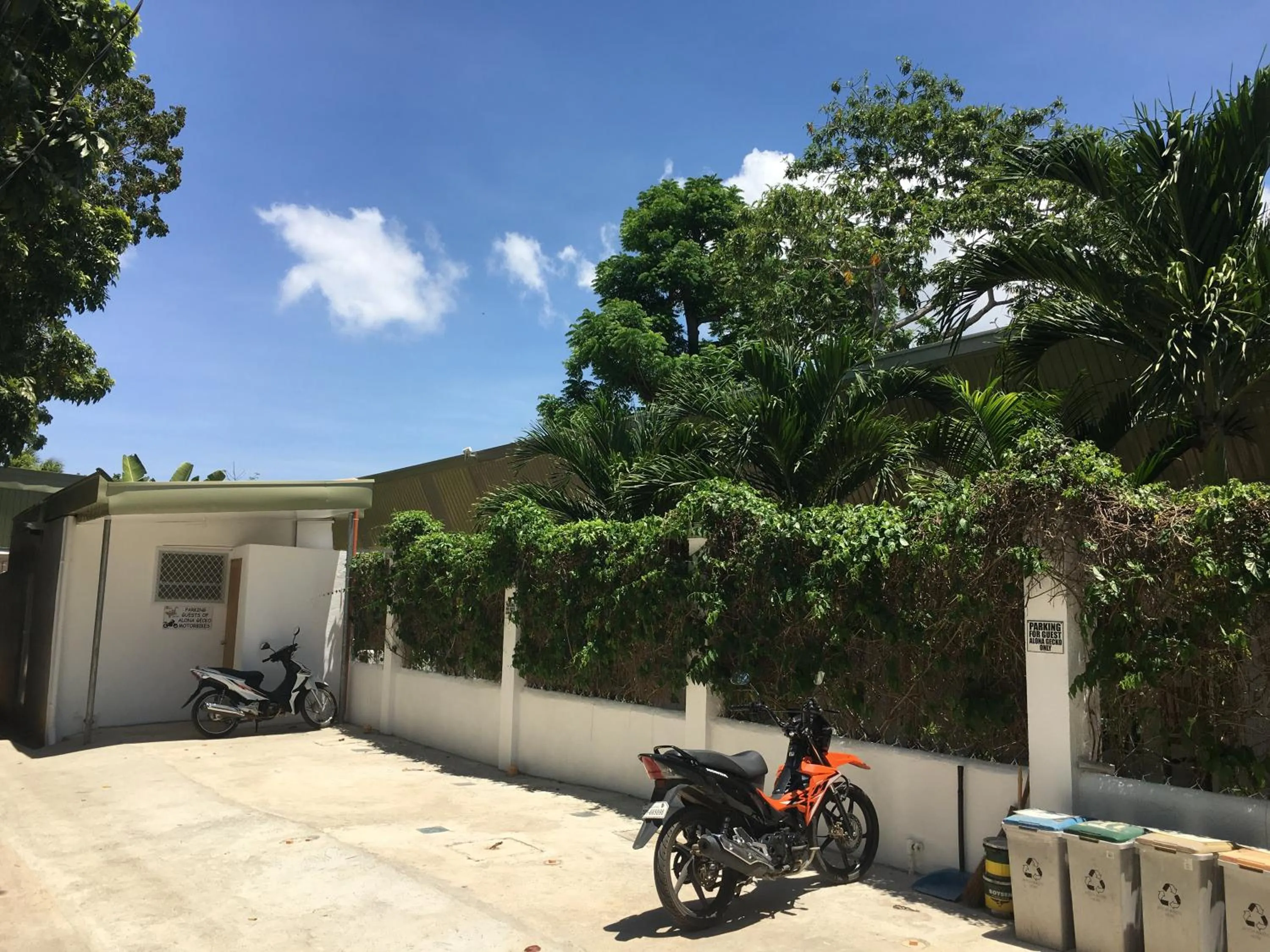 Area and facilities in Alona Gecko Inn