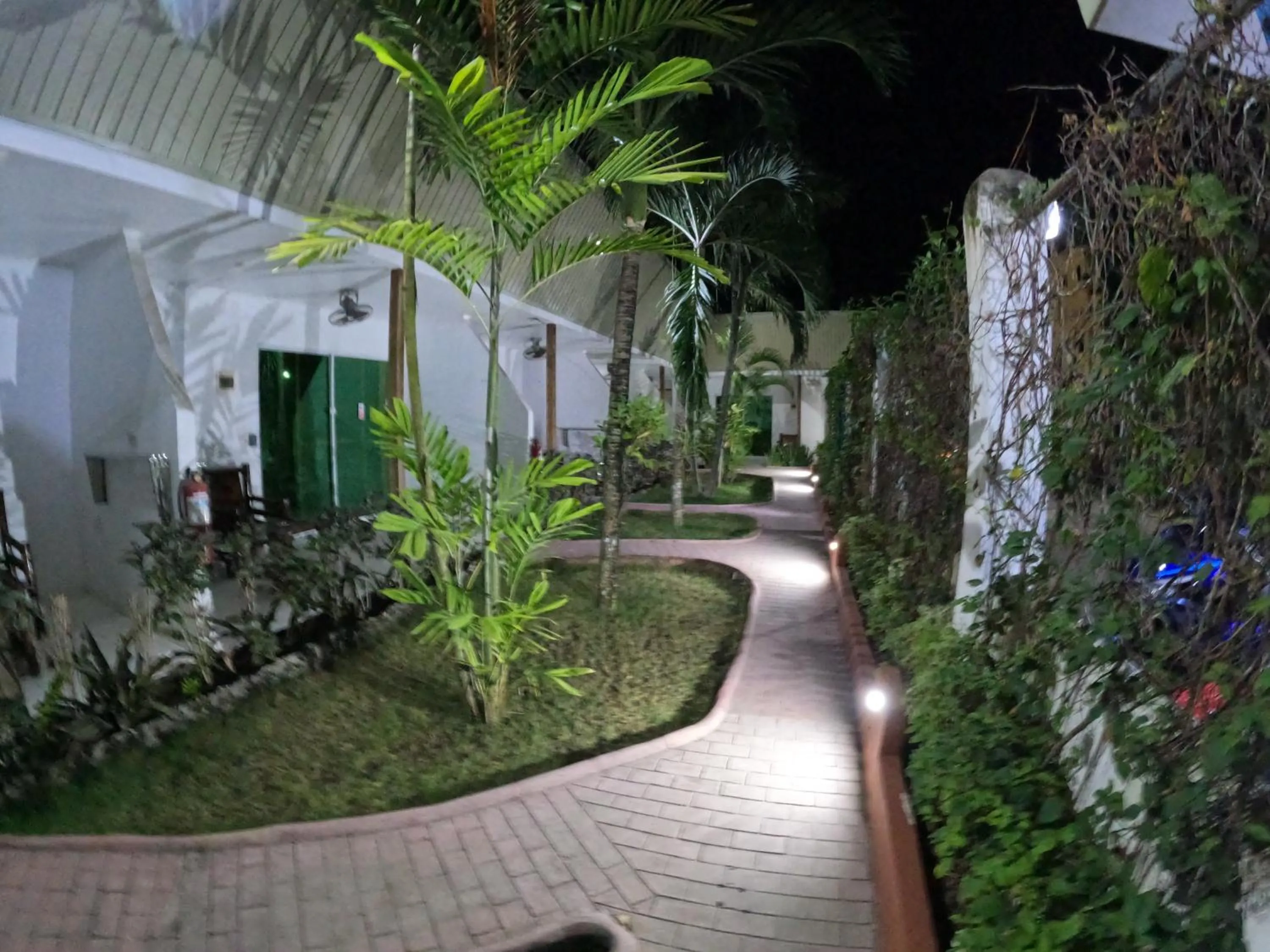 Garden in Alona Gecko Inn