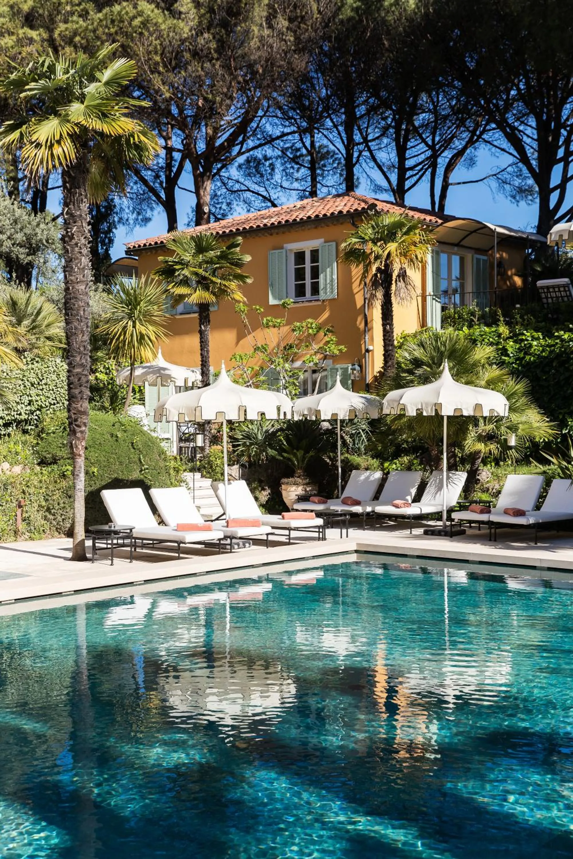 Swimming pool in La Bastide de Saint Tropez