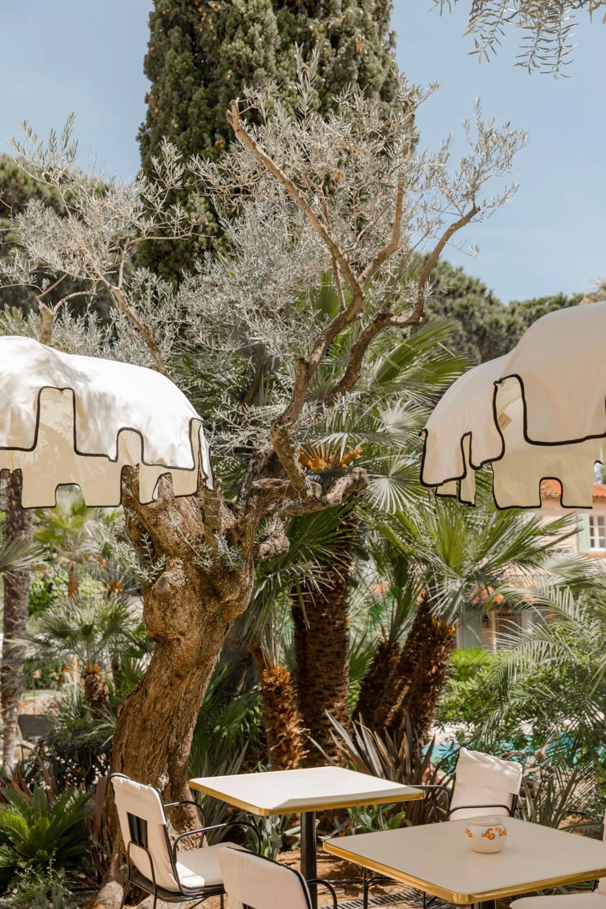 Restaurant/places to eat in La Bastide de Saint Tropez