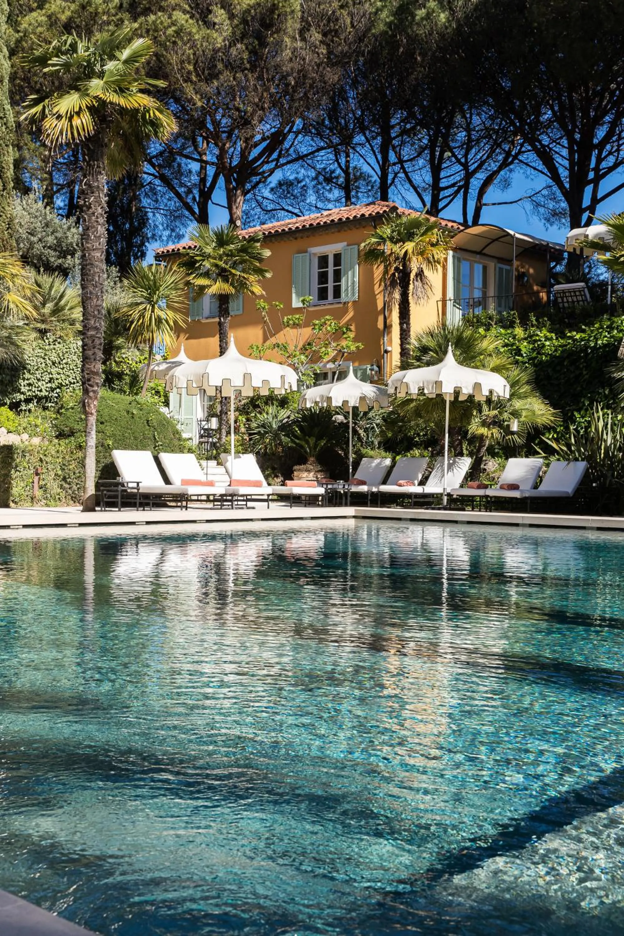 Swimming pool in La Bastide de Saint Tropez