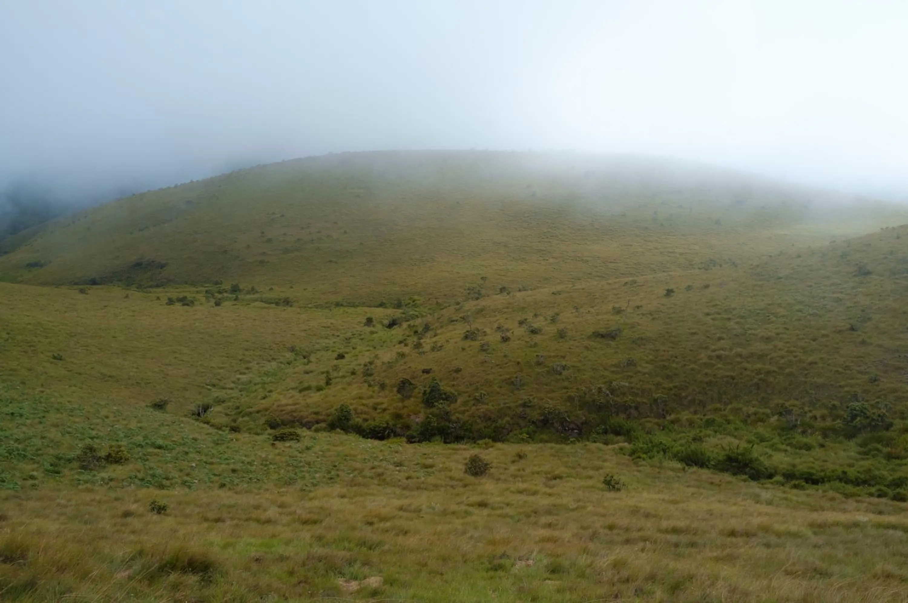 Natural landscape in Dazzling Villa