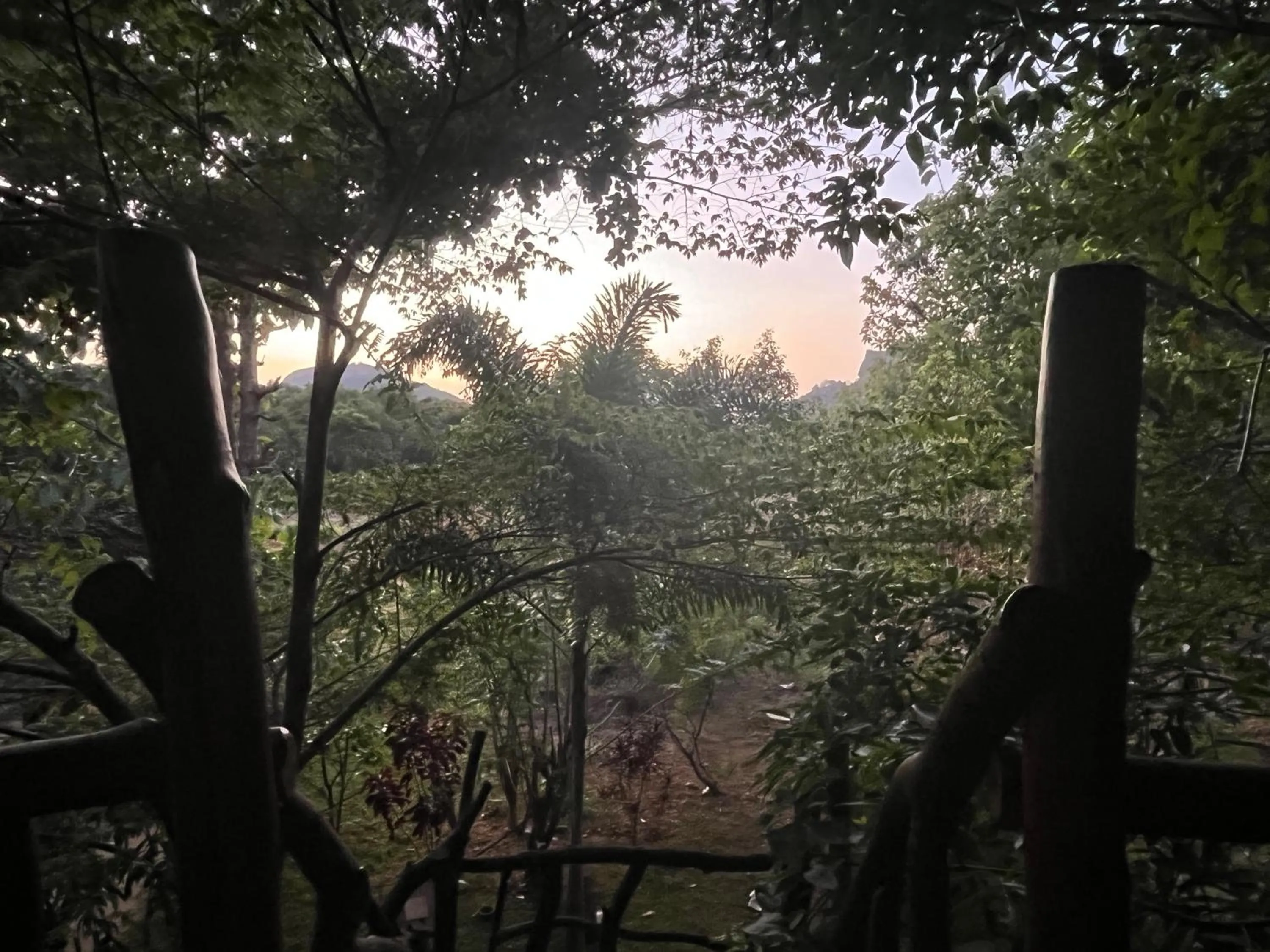 Natural landscape in Sigiriya Rock Gate Resort