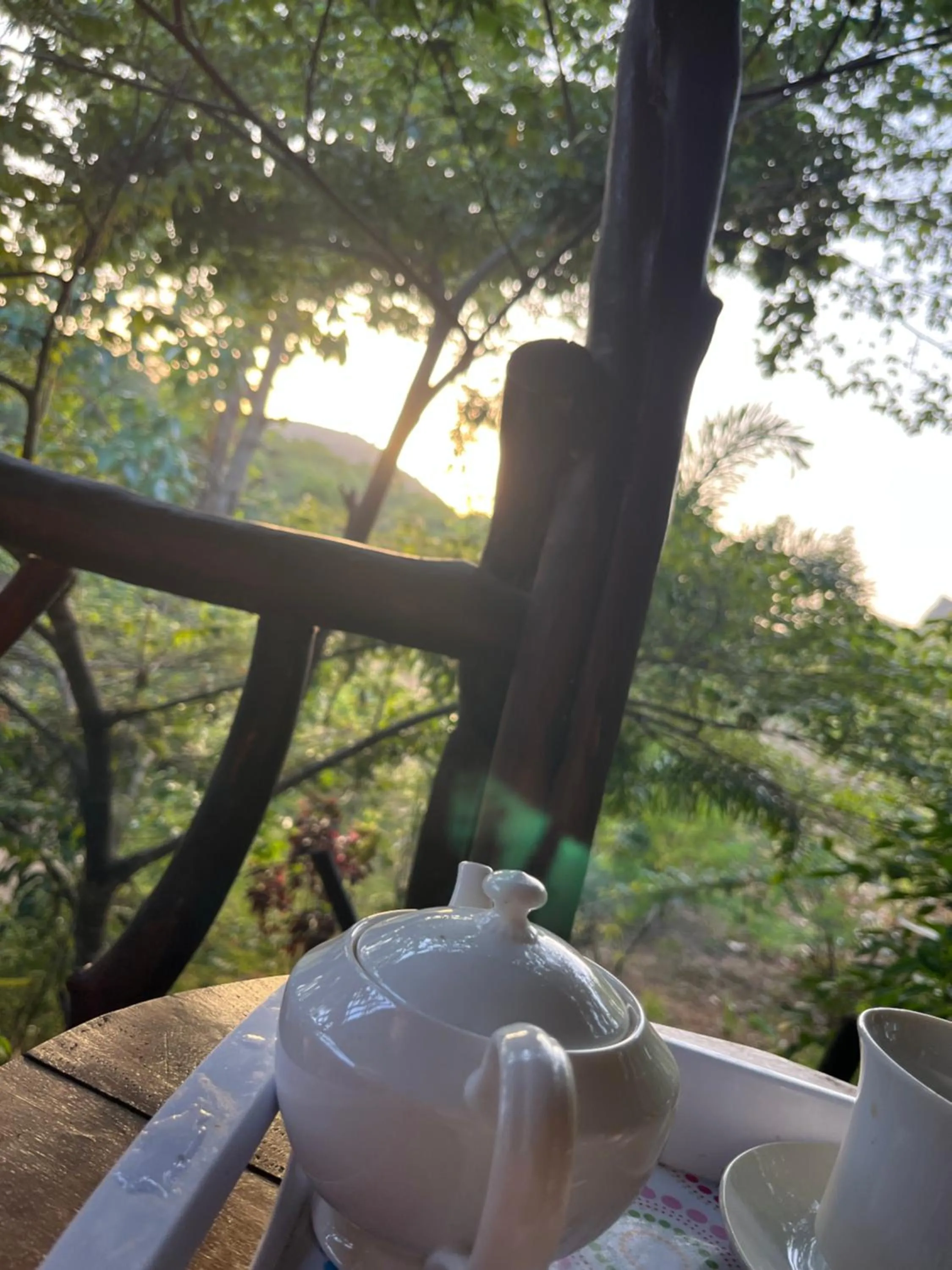 View (from property/room) in Sigiriya Rock Gate Resort