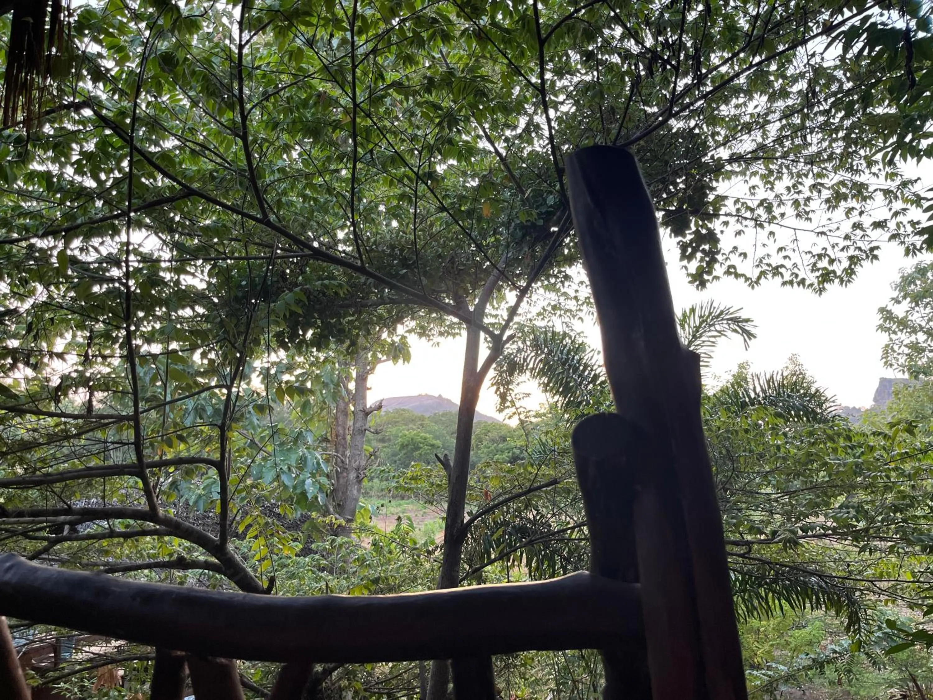 Natural landscape in Sigiriya Rock Gate Resort