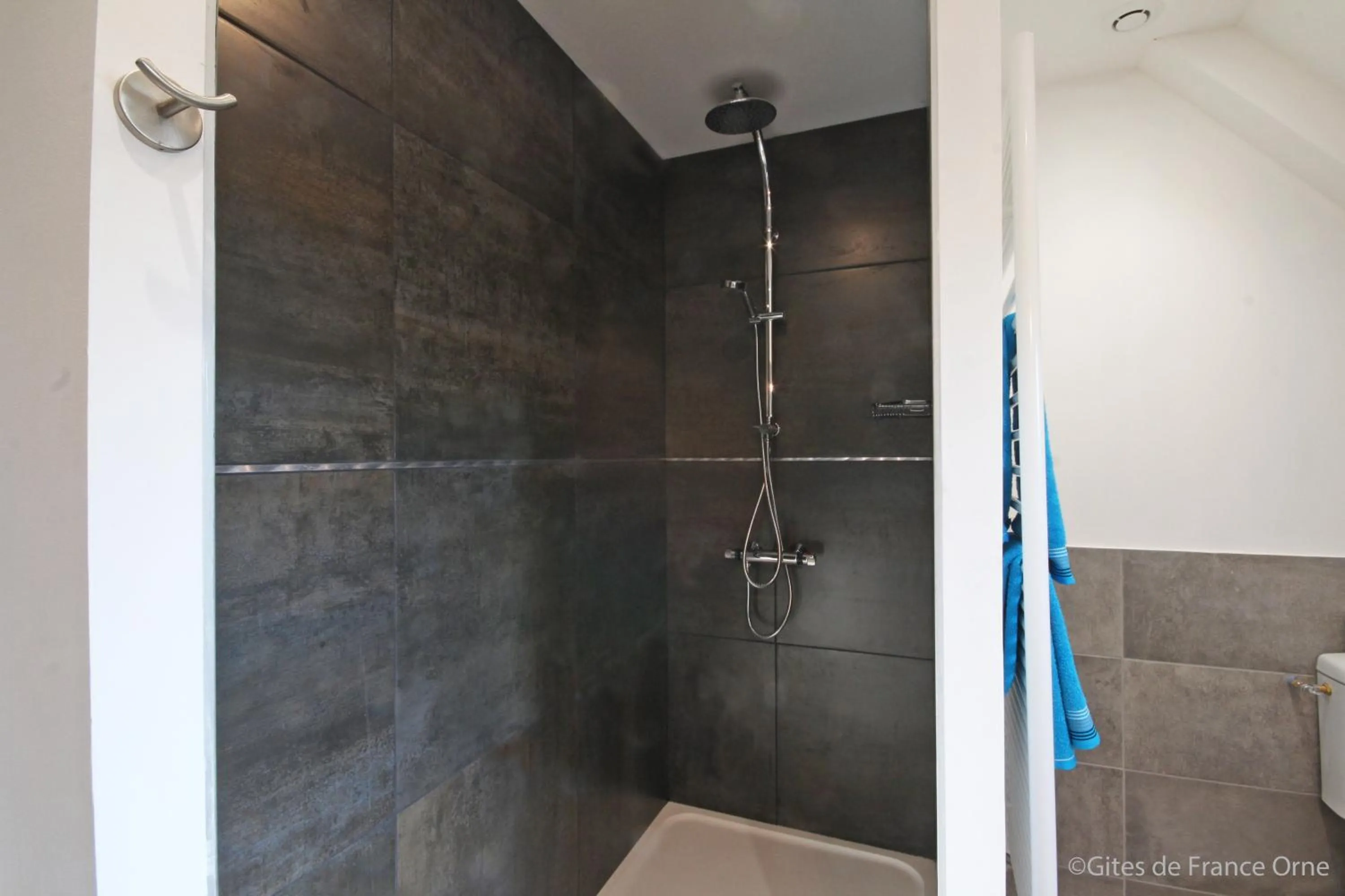 Other in La Corbonniere