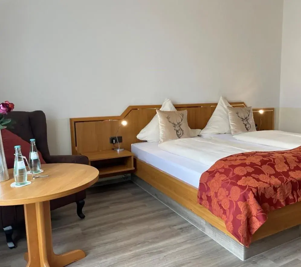 Double Room - single occupancy in Hotel Winter Double Room - single occupancy in Hotel Winter