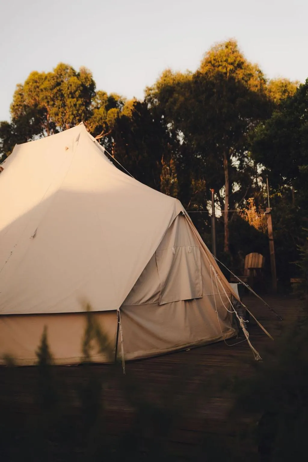 Scamander Sanctuary Holiday Park