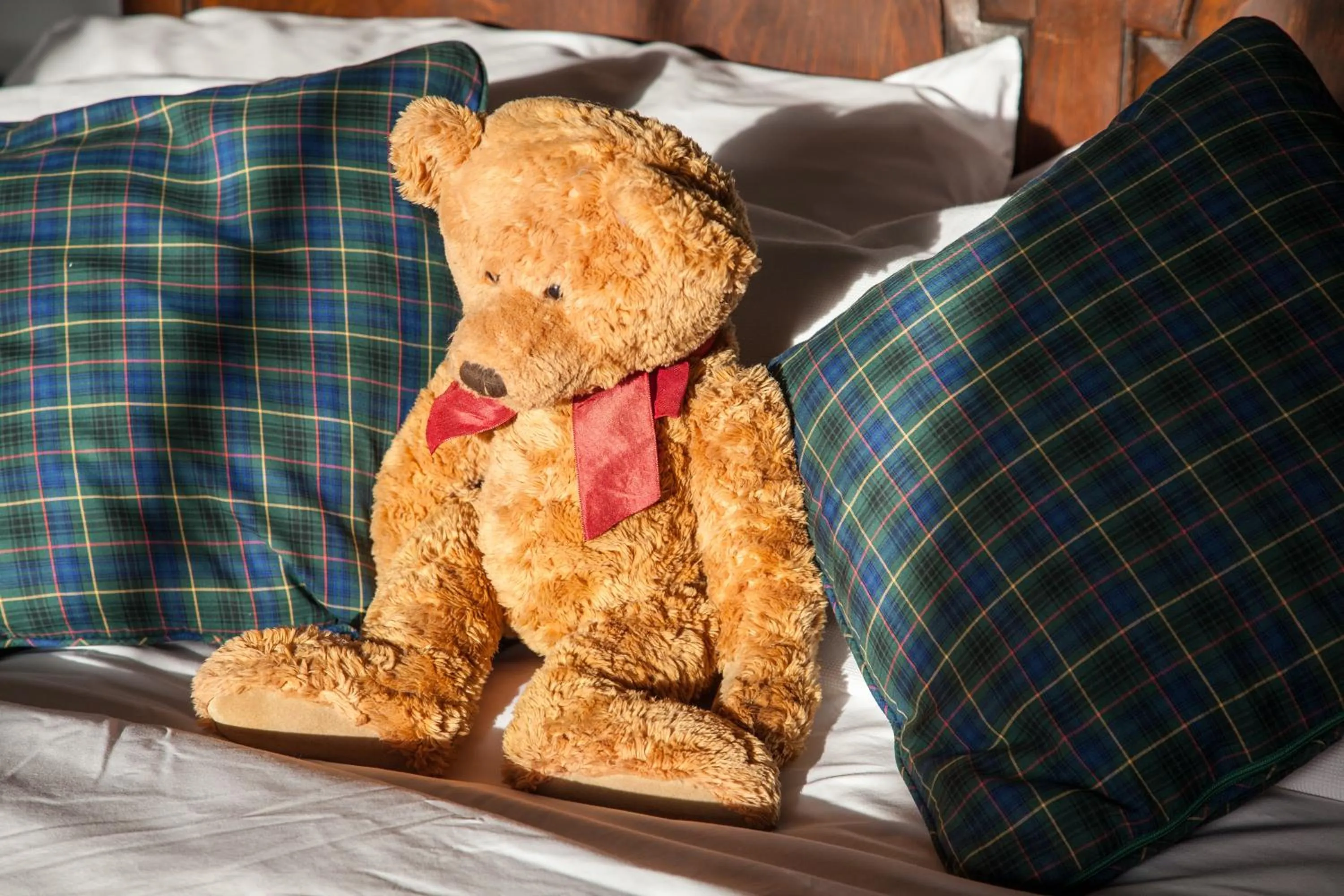 Decorative detail in Buckthorns House