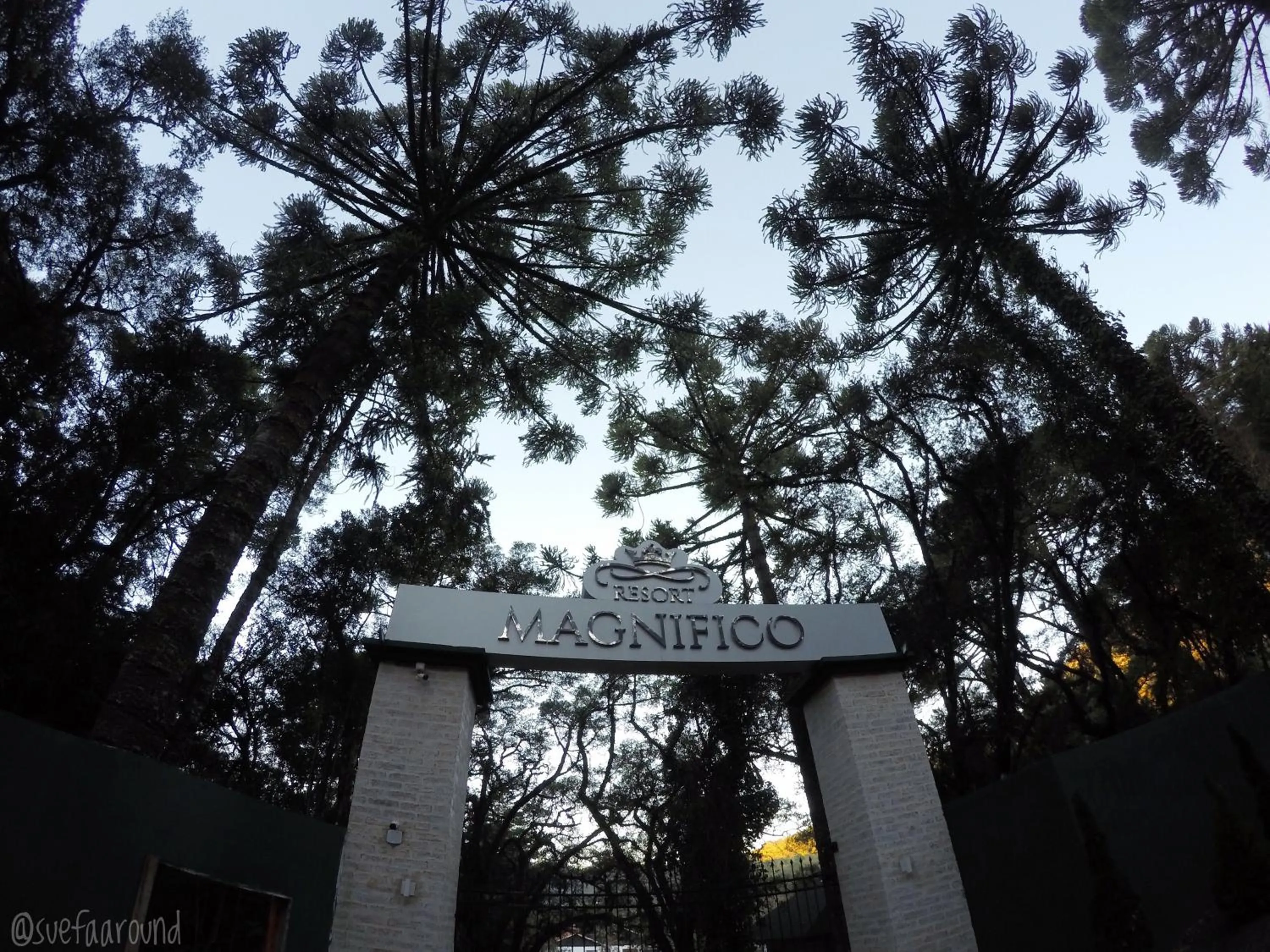 Property logo or sign in Resort Magnifico