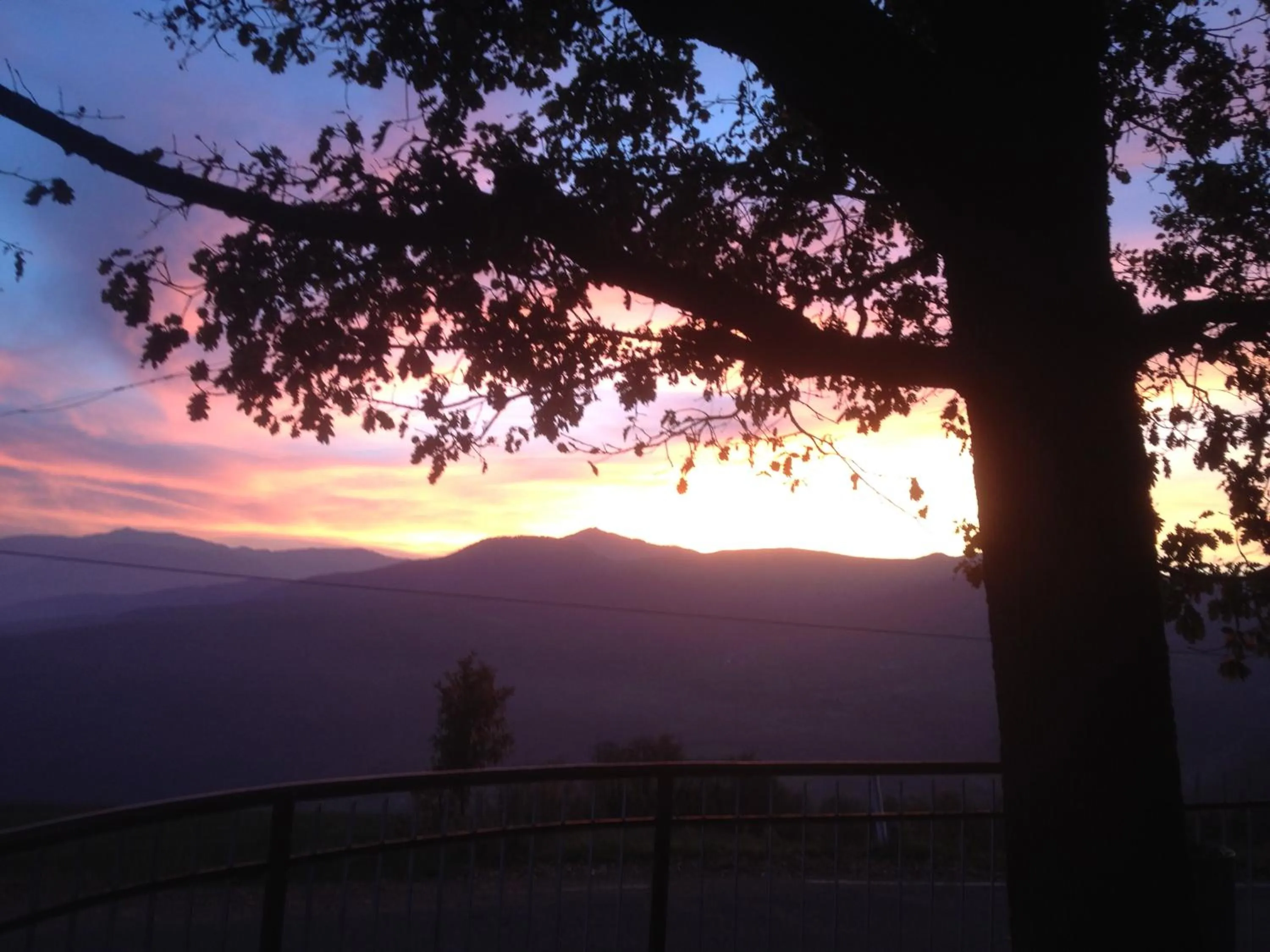 Restaurant/places to eat in Albergo Filietto