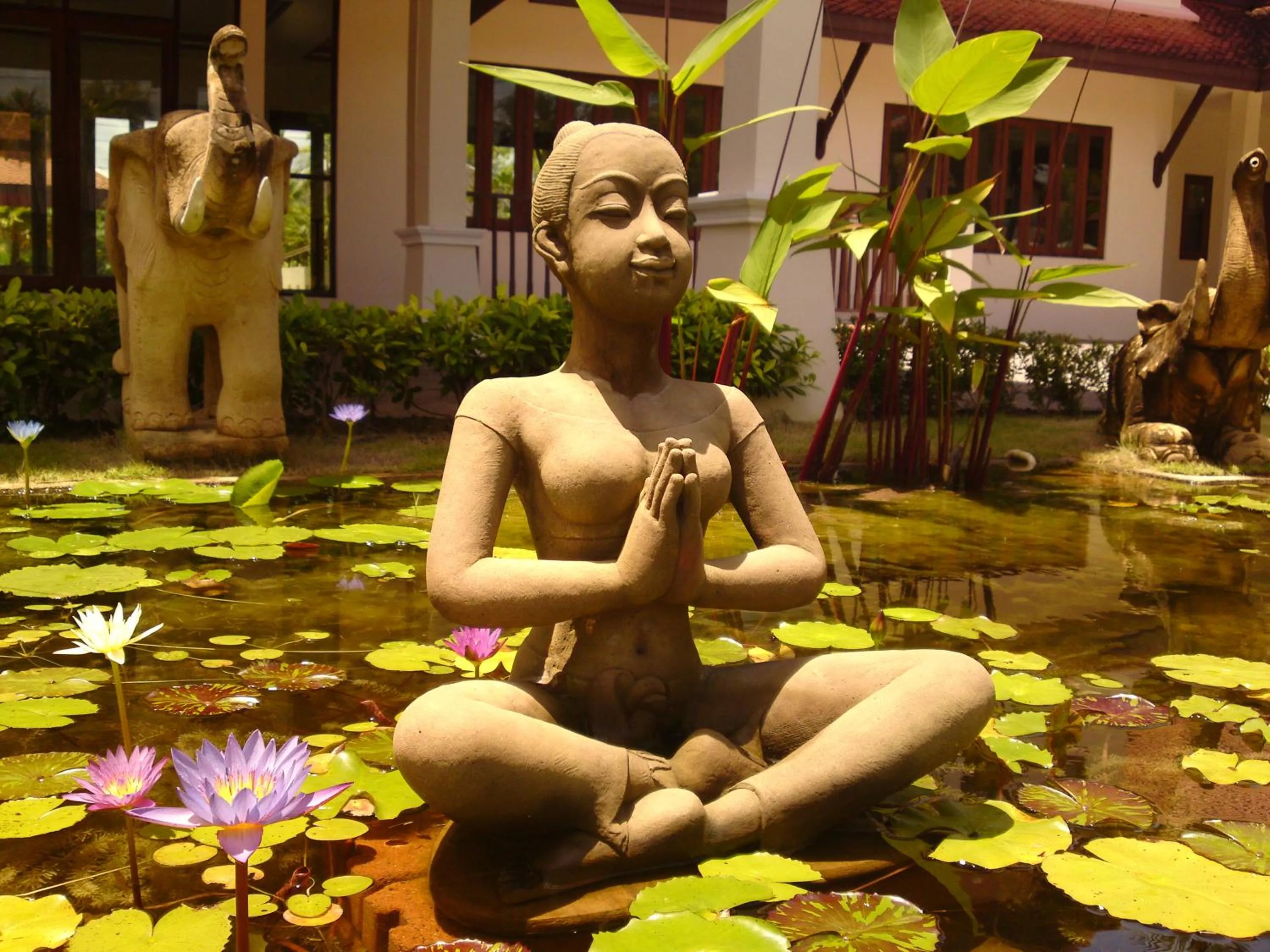 Area and facilities in Villa Chaya