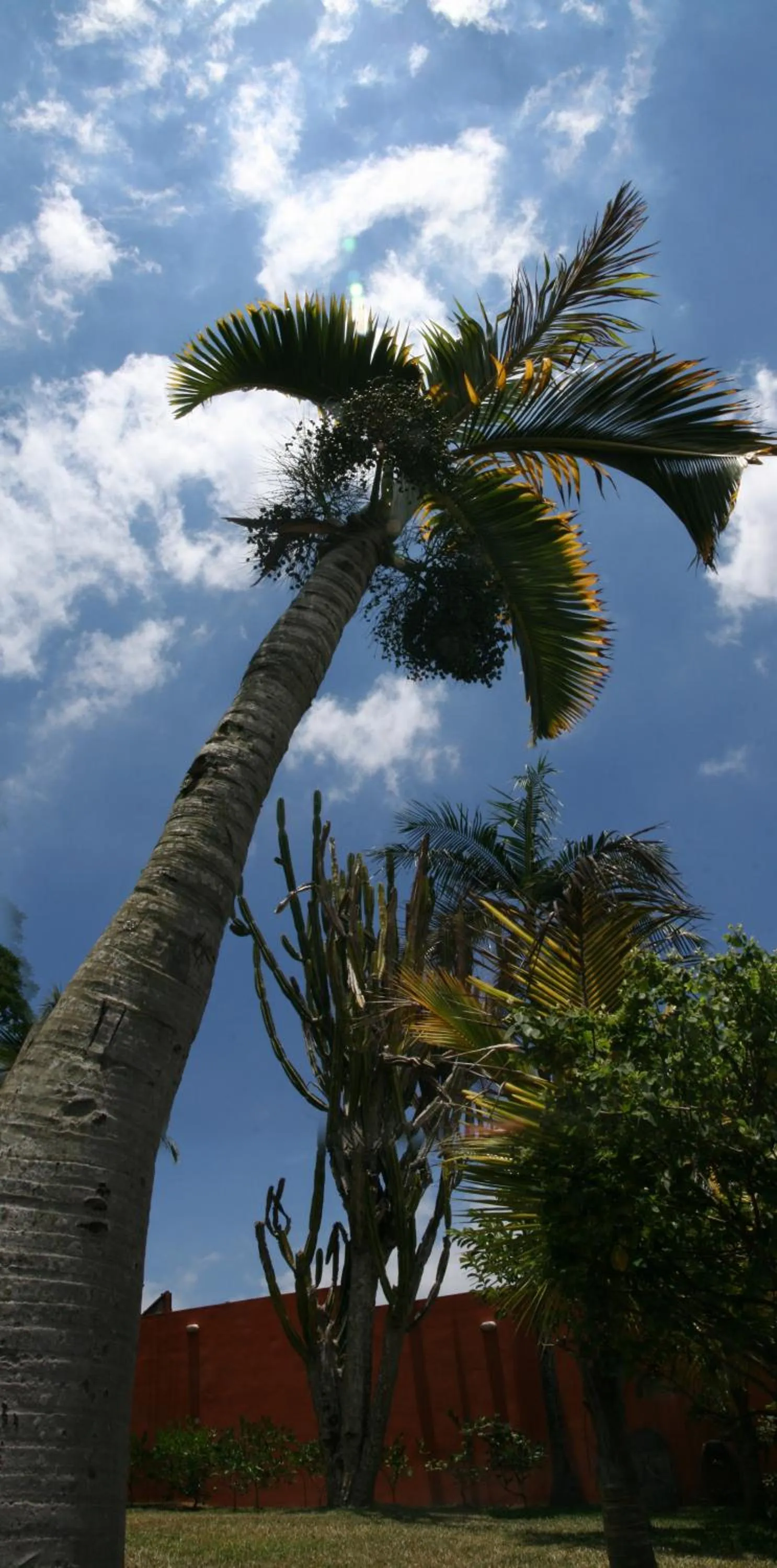 Garden in Maison D’hôtes Coignet