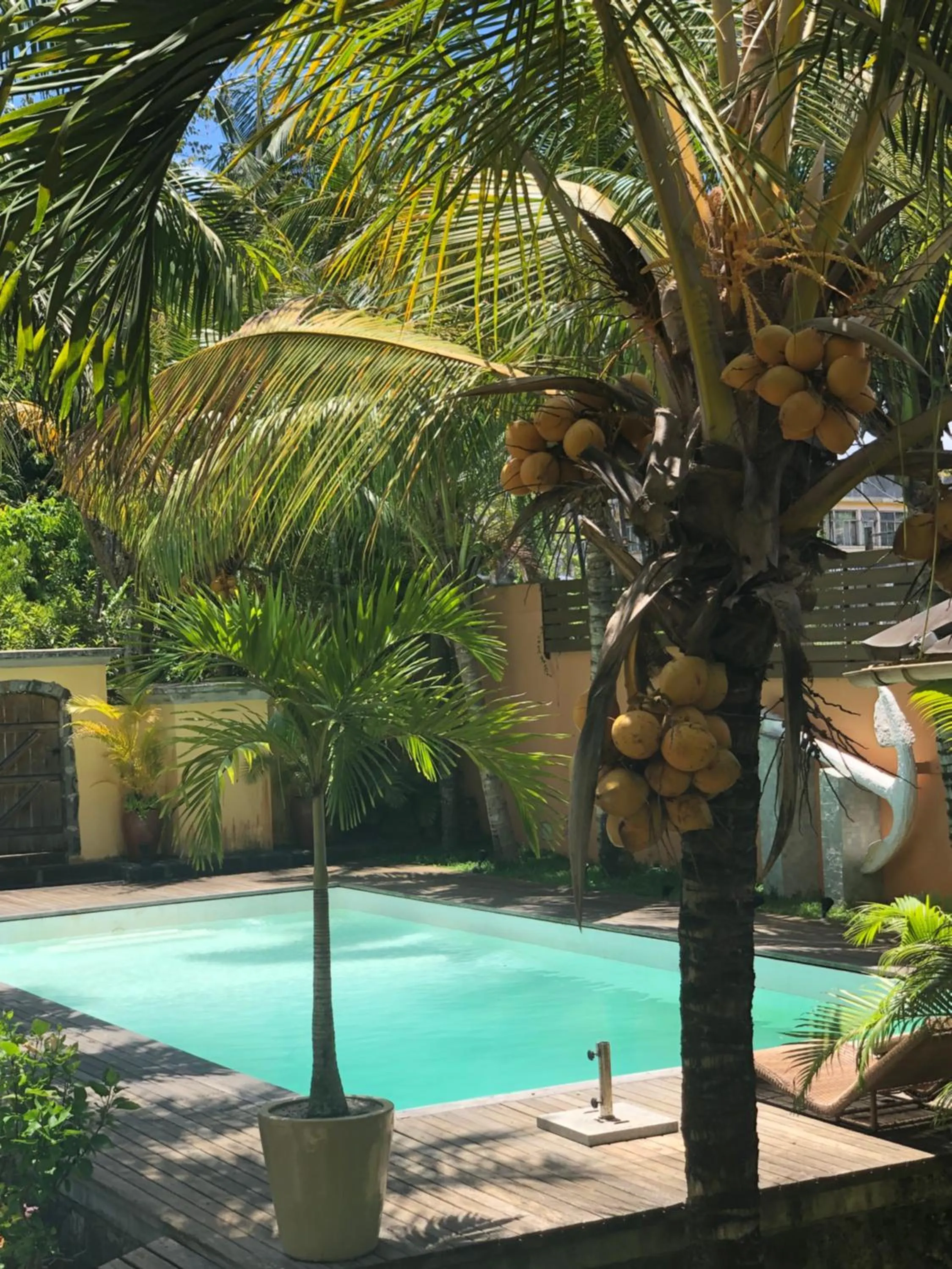 Garden in Maison D’hôtes Coignet