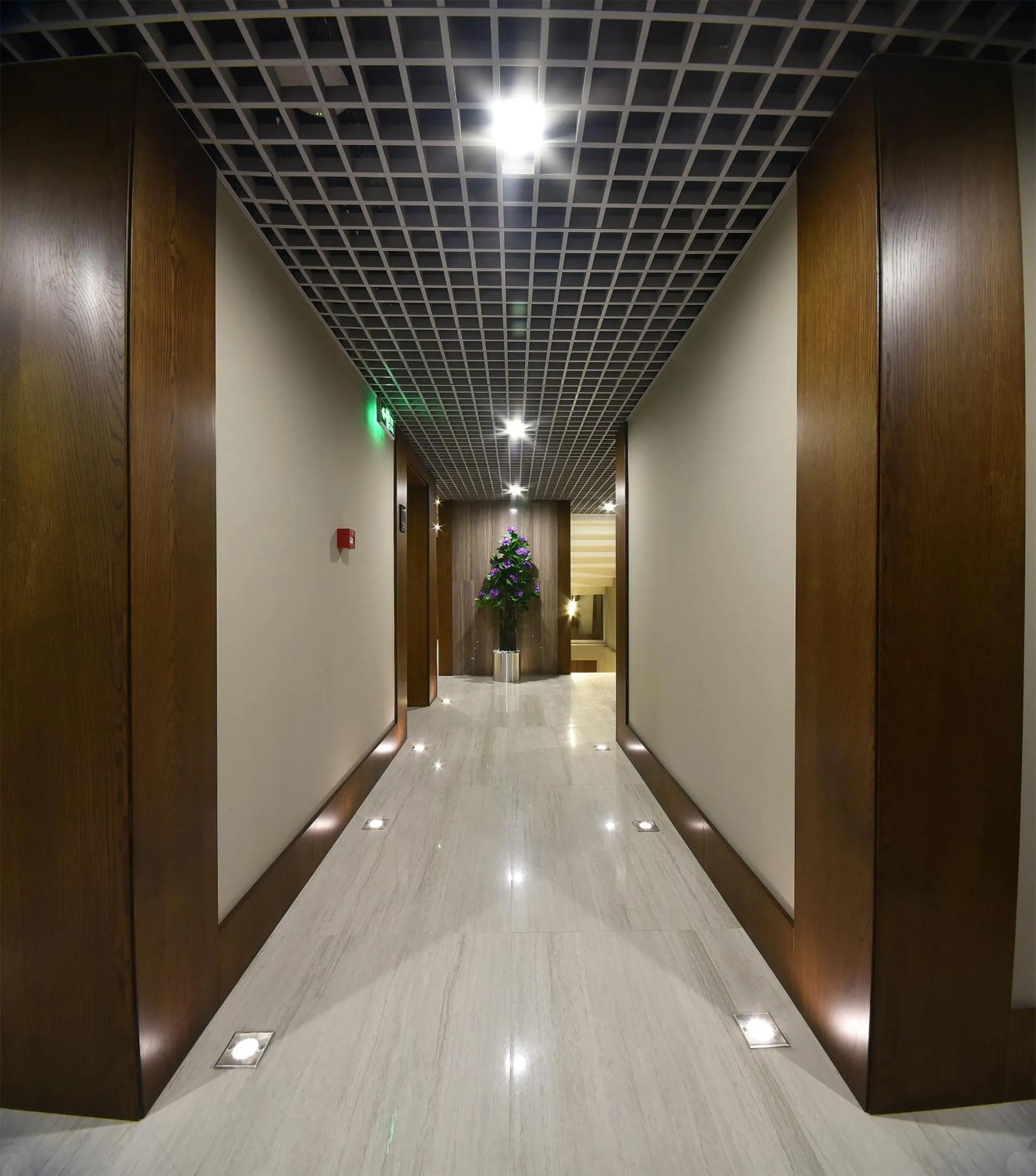 Area and facilities in The Elegant Hotel