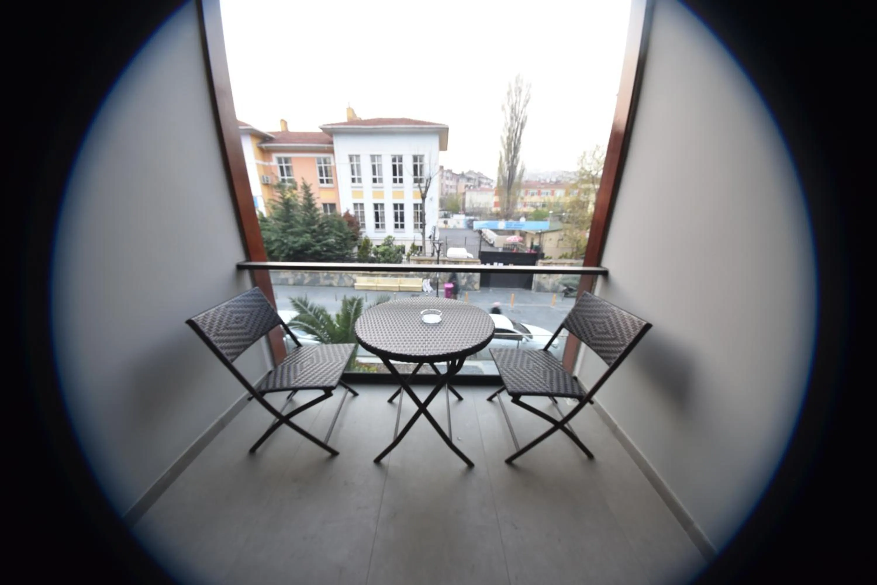 Balcony/Terrace in The Elegant Hotel