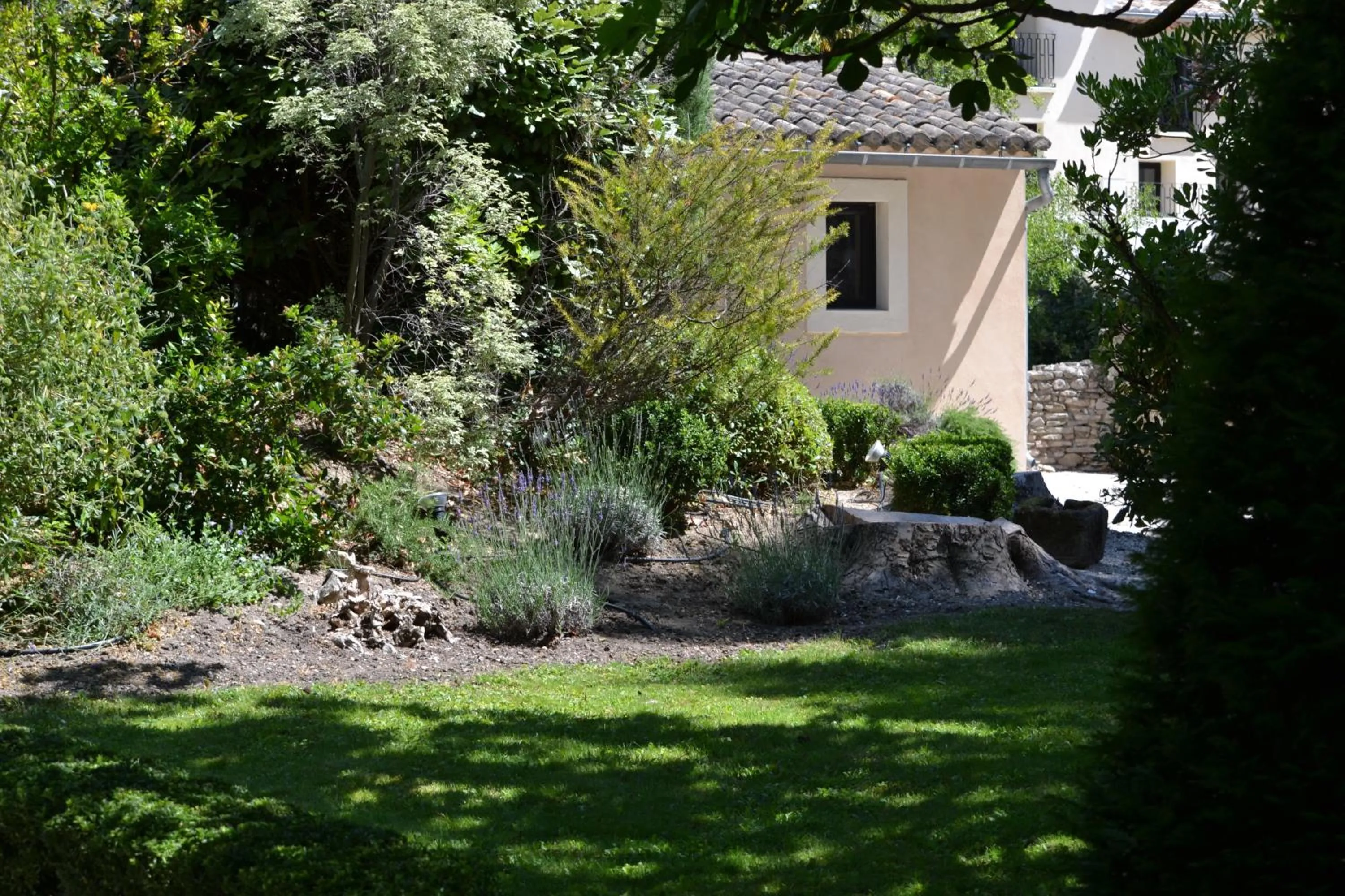 Garden in Hotel du Poète