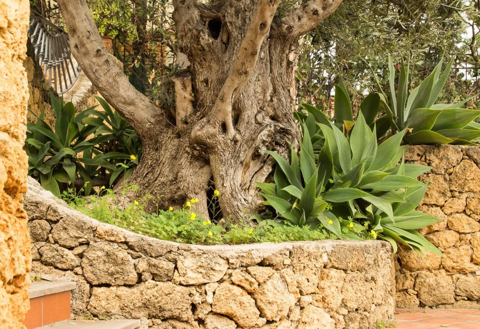 Garden in Residenza Terrazze sul Mare