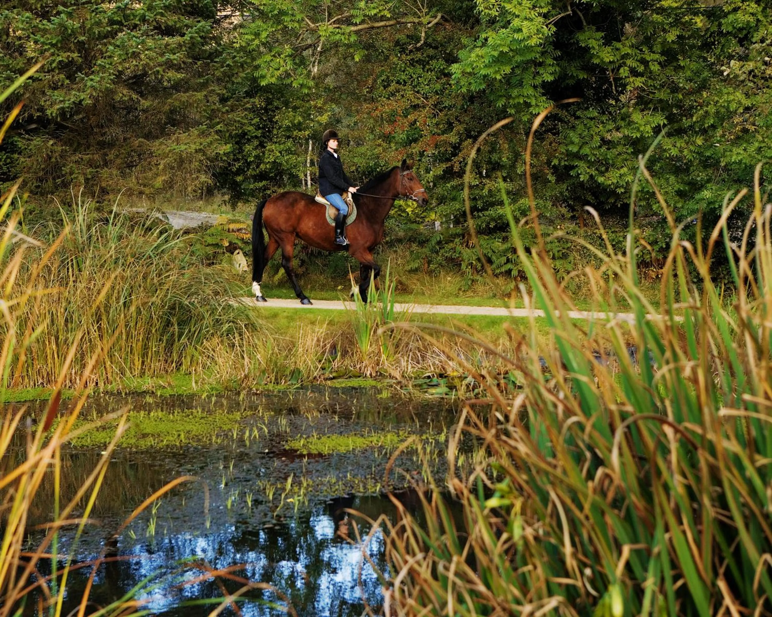 Horse-riding in BrookLodge & Macreddin Village