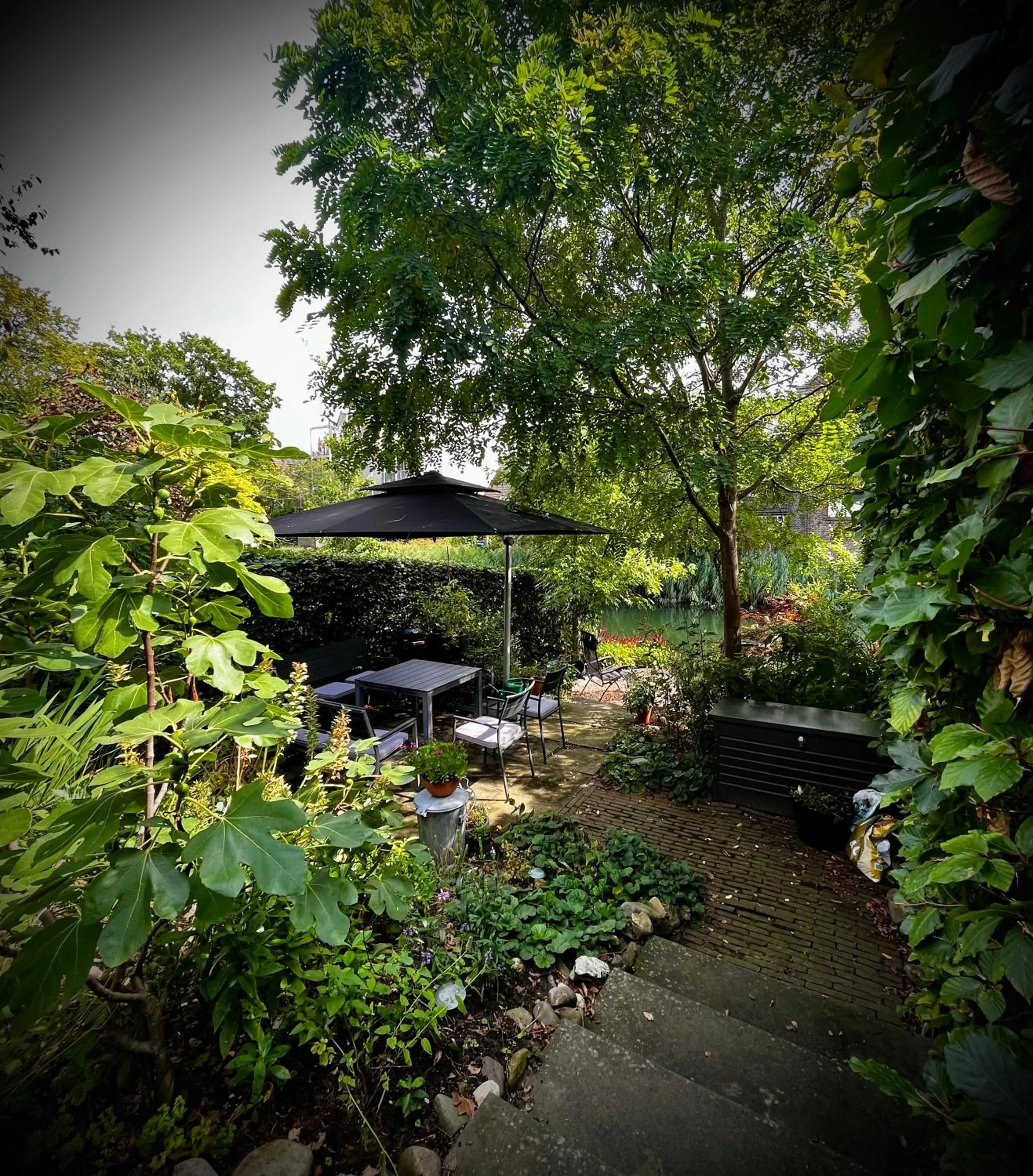 Garden in Arthouse Dordrecht