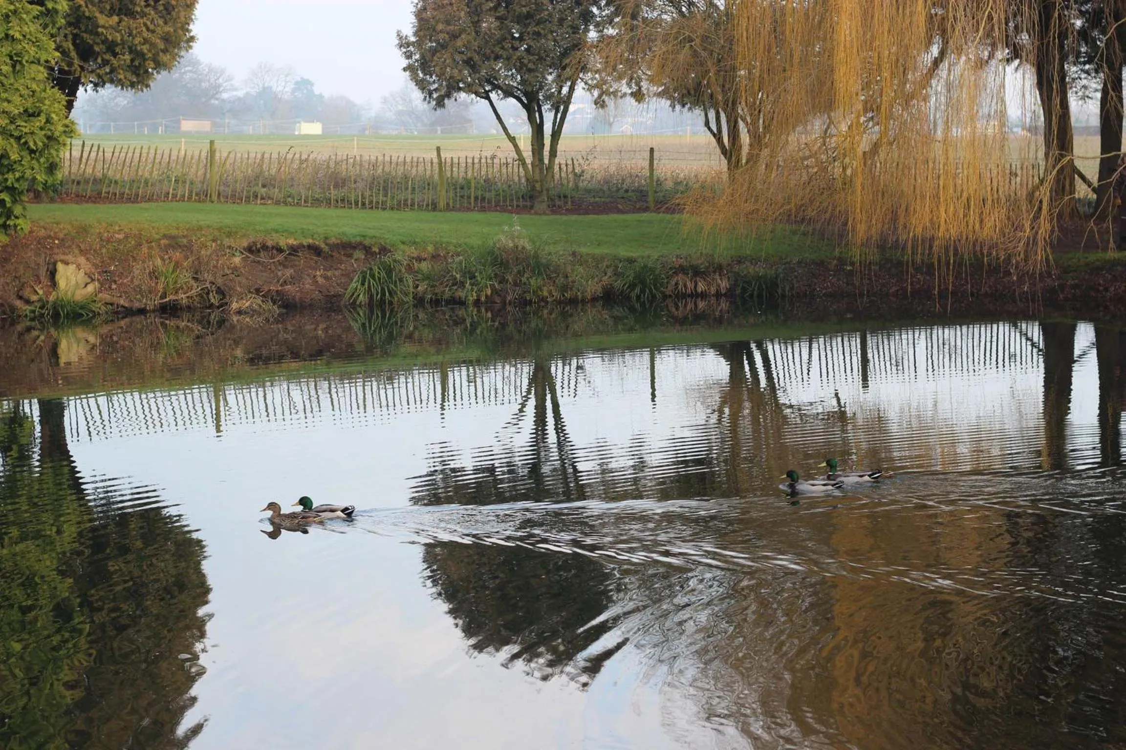 Natural landscape in Monkspool B&B