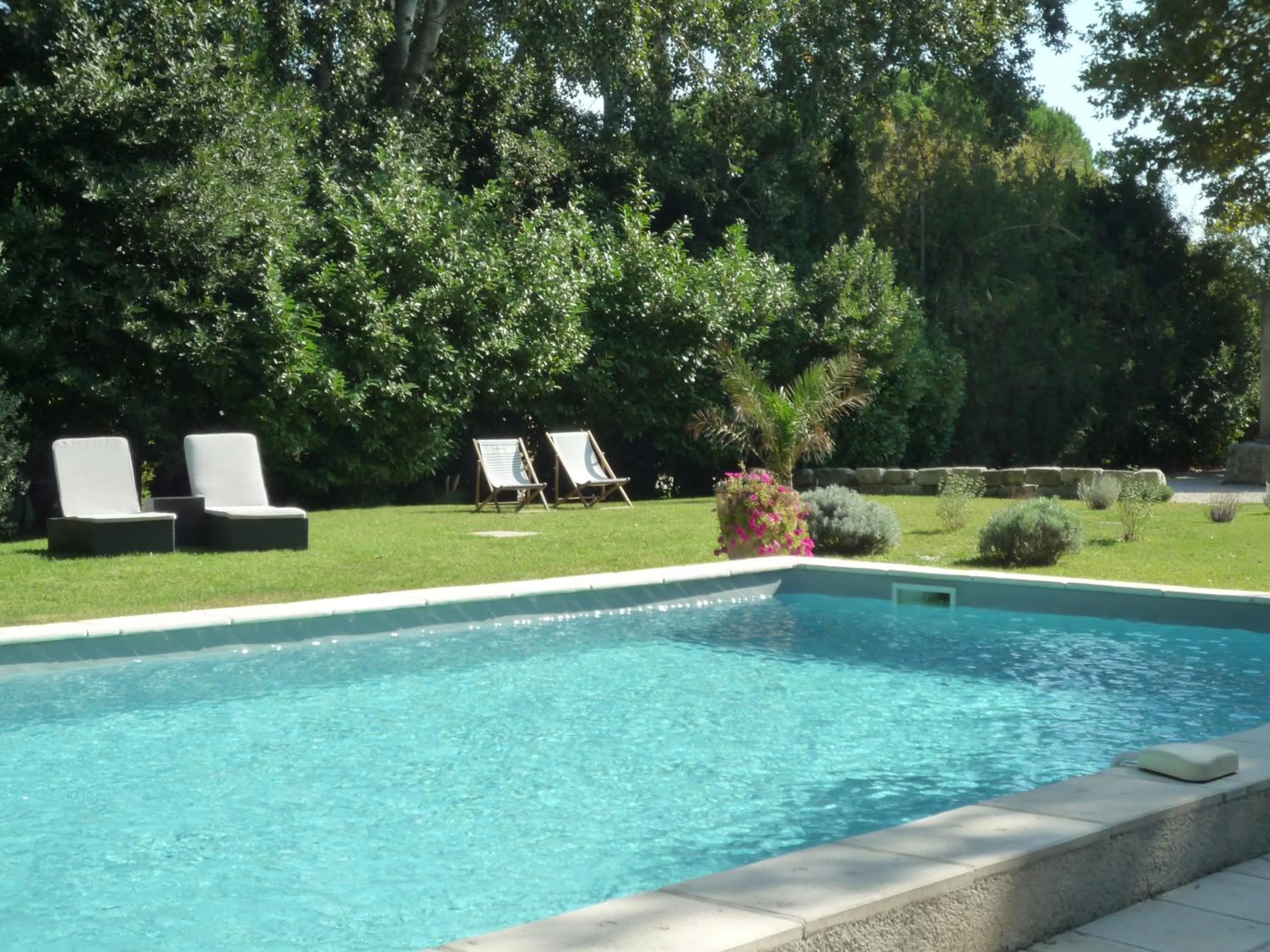 Pool view in Mas de l'ile
