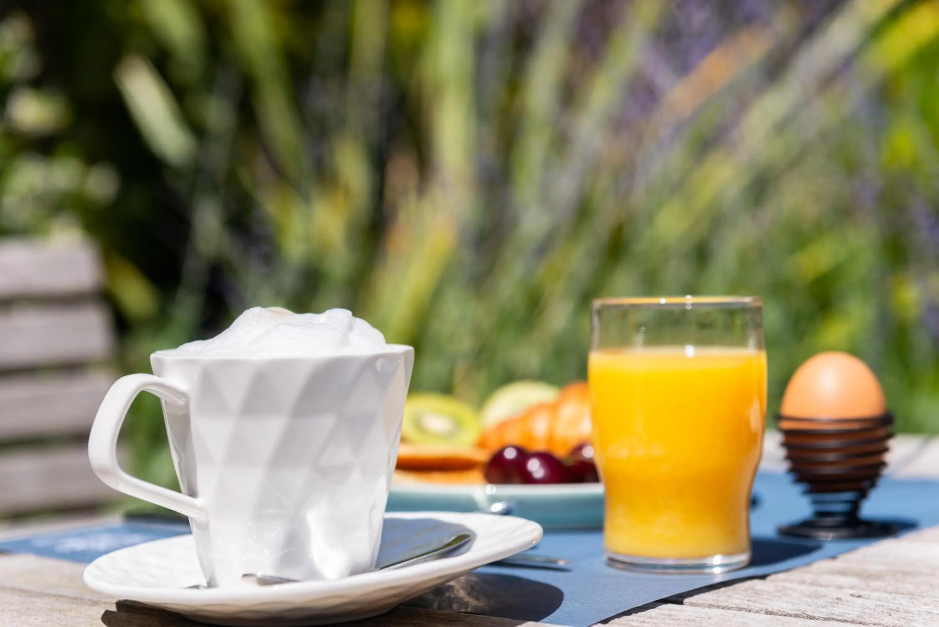 Garden in Hôtel Traiteur Les Ormes, The Originals Relais