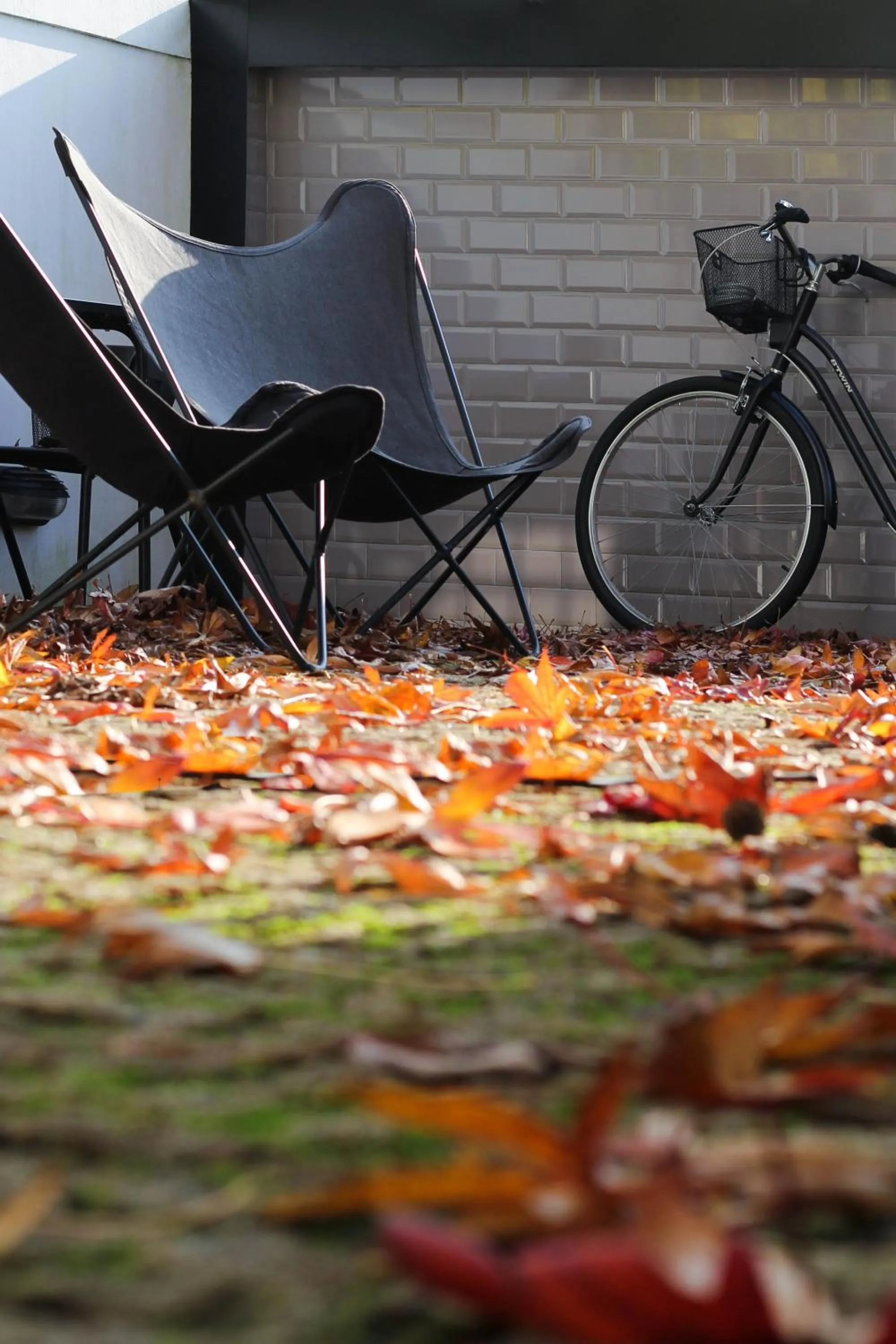 Balcony/Terrace in Porto Music Guest House