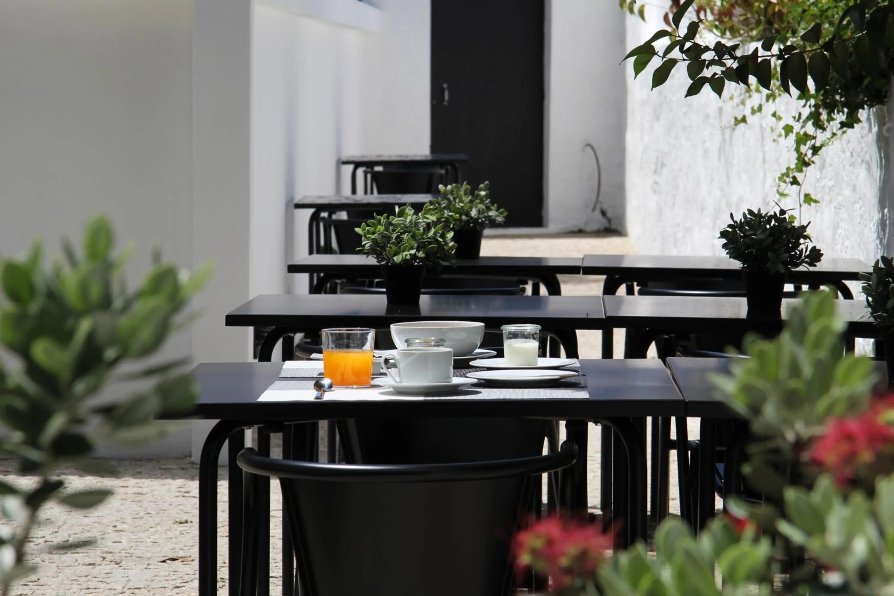 Garden in Porto Music Guest House