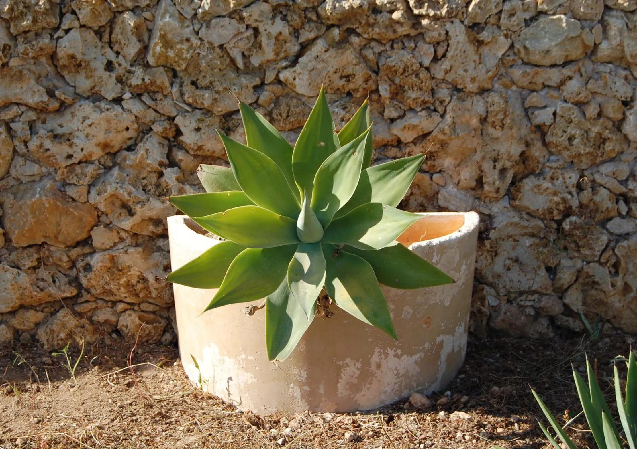 Decorative detail in Mood Farmhouse Mythology