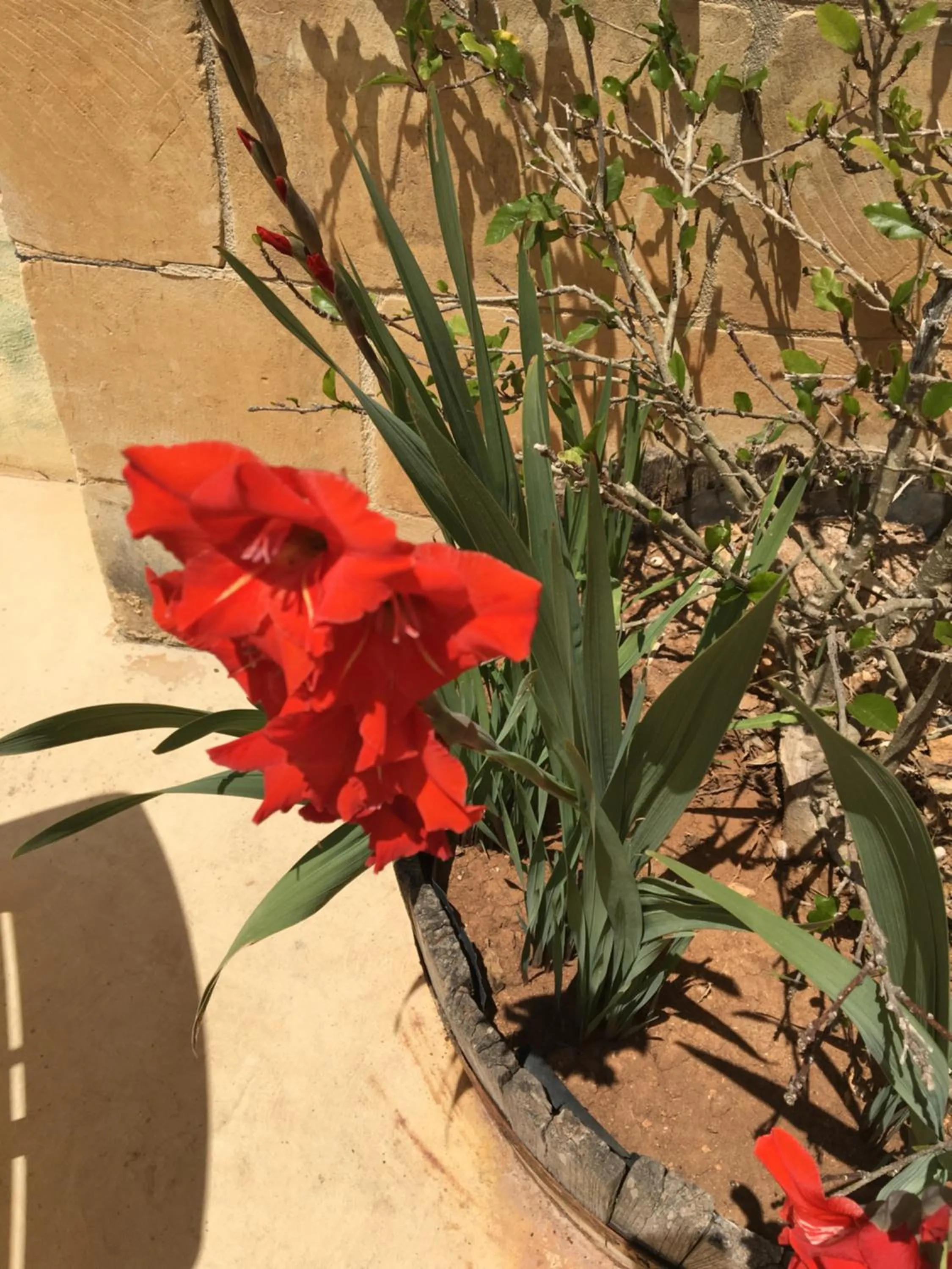 Other in Mood Farmhouse Mythology