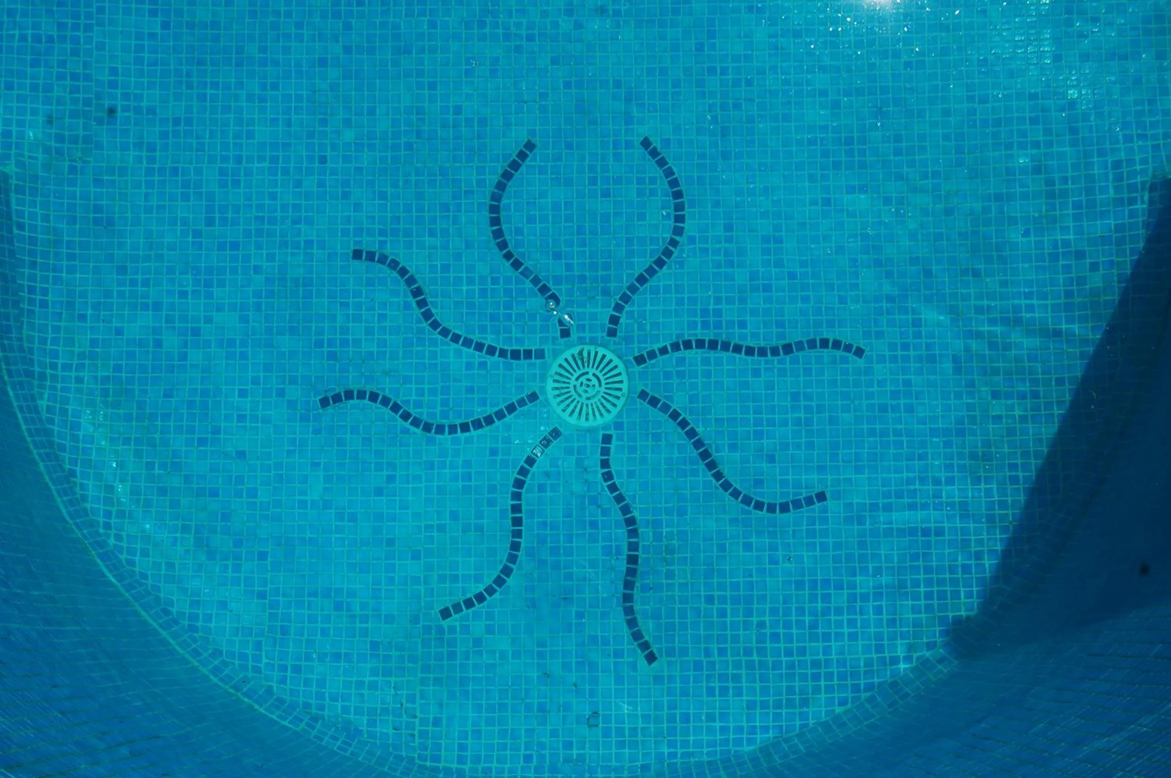 Decorative detail in Mood Farmhouse Mythology