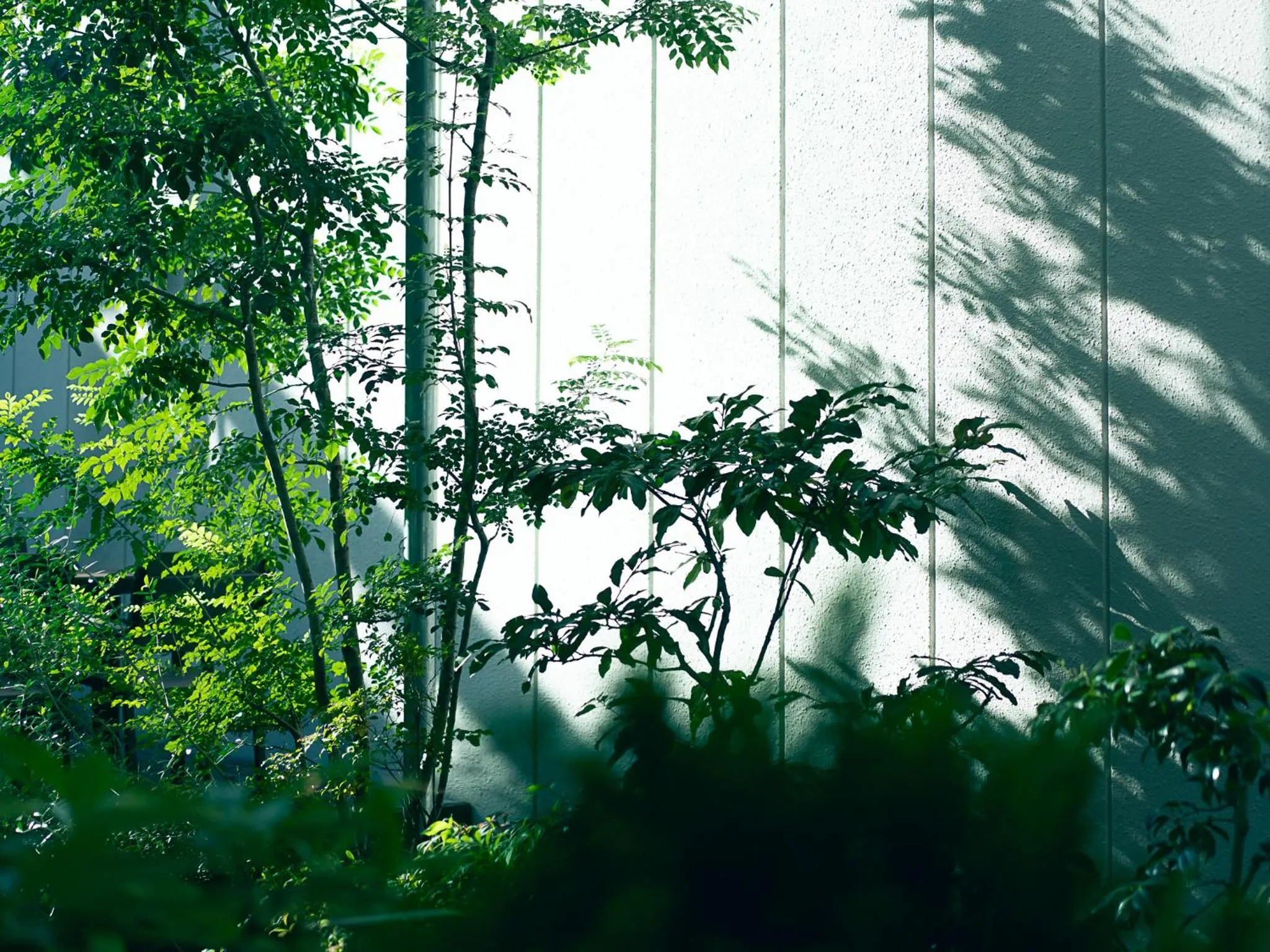 Balcony/Terrace in Kaname Inn Tatemachi