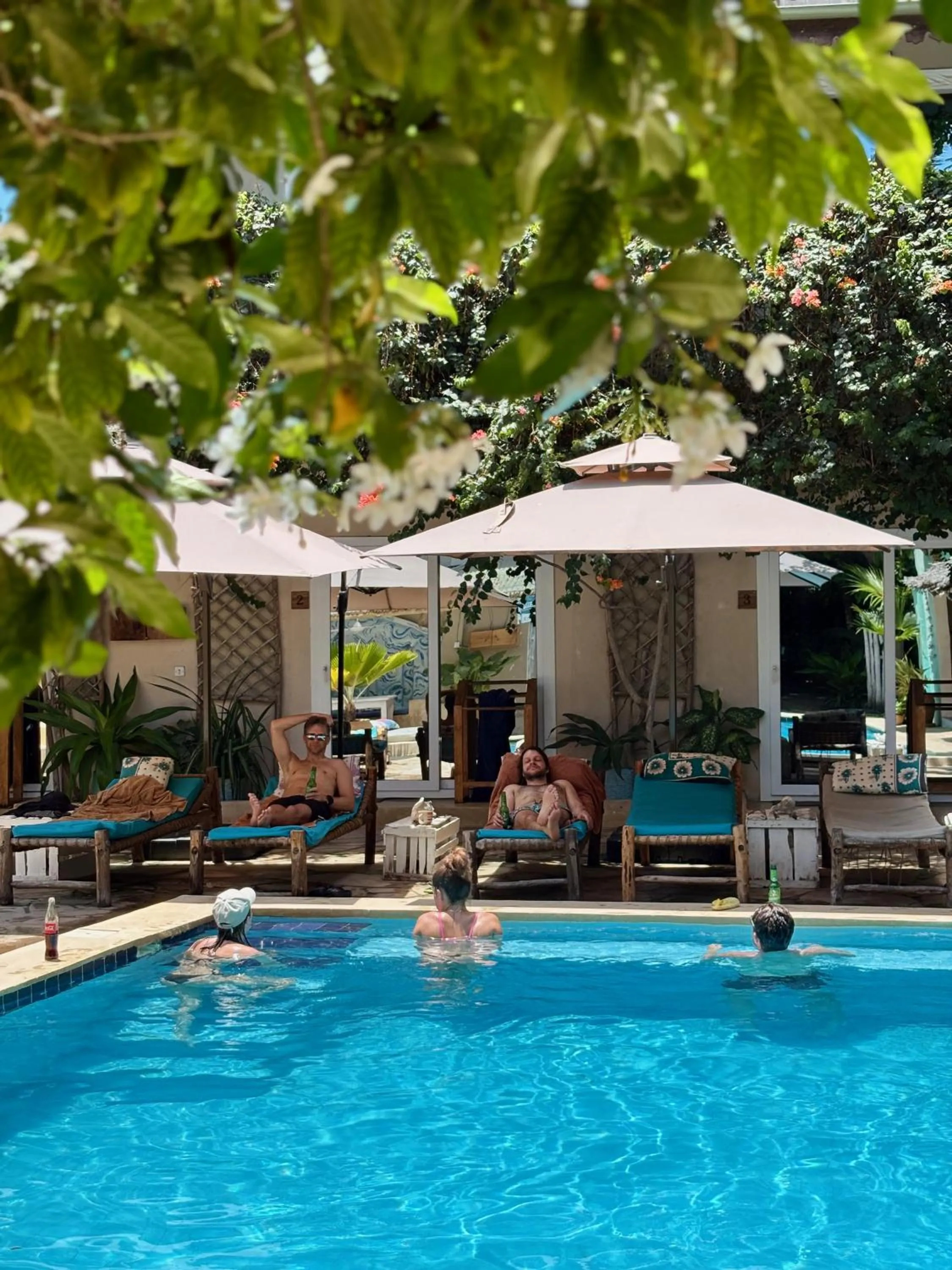 Swimming pool in Ebb & Flow