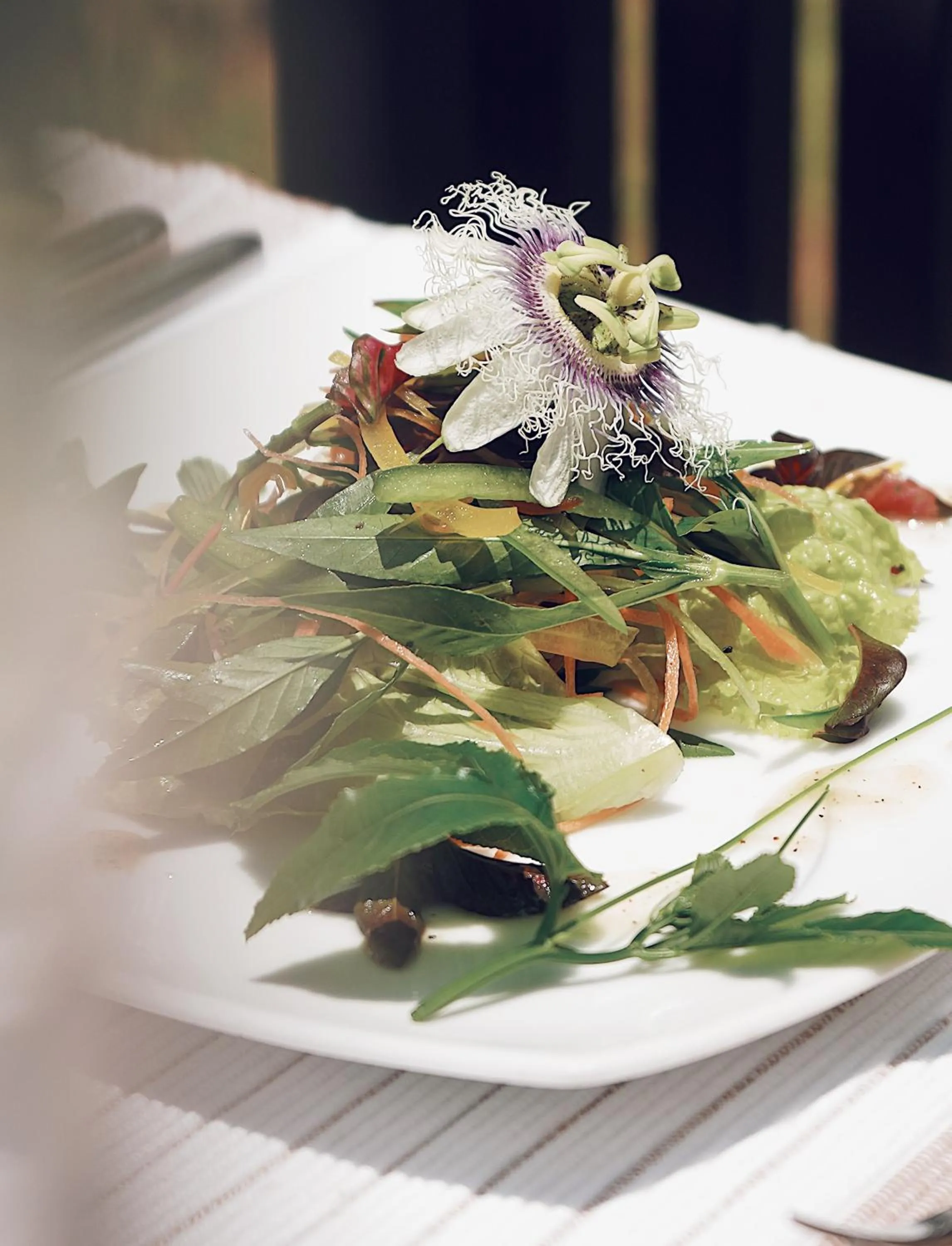 Restaurant/places to eat in The Farm Resorts