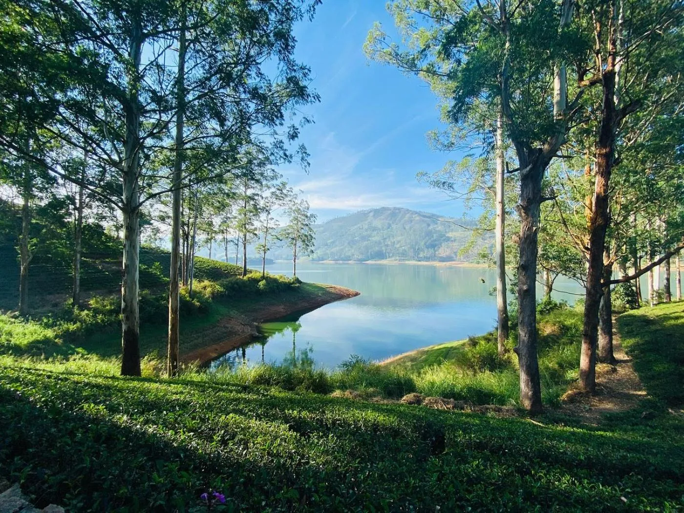 Lake view in The Farm Resorts