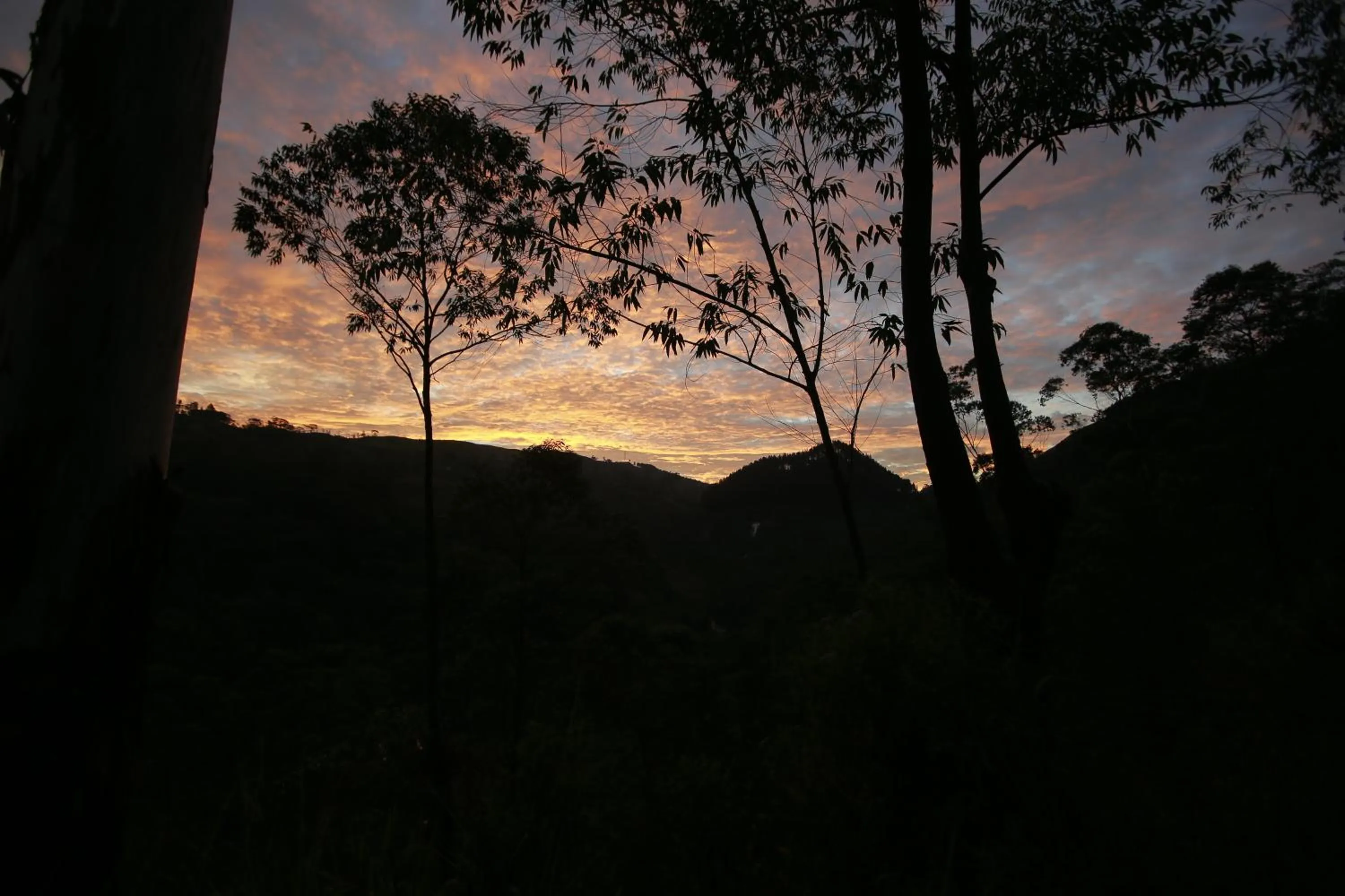 On site in The Farm Resorts