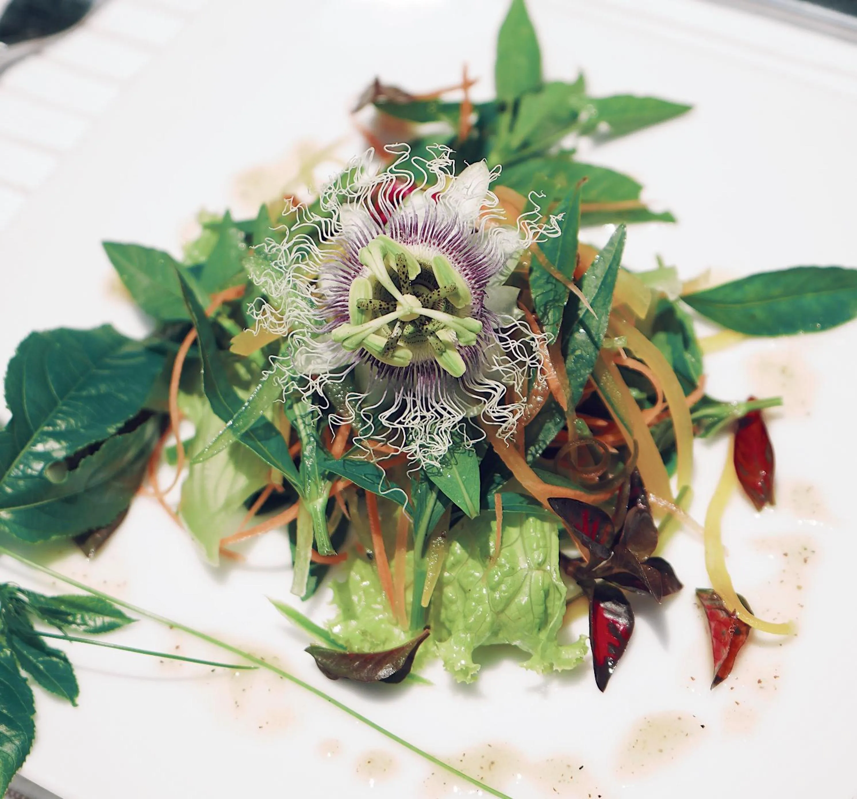 Restaurant/places to eat in The Farm Resorts