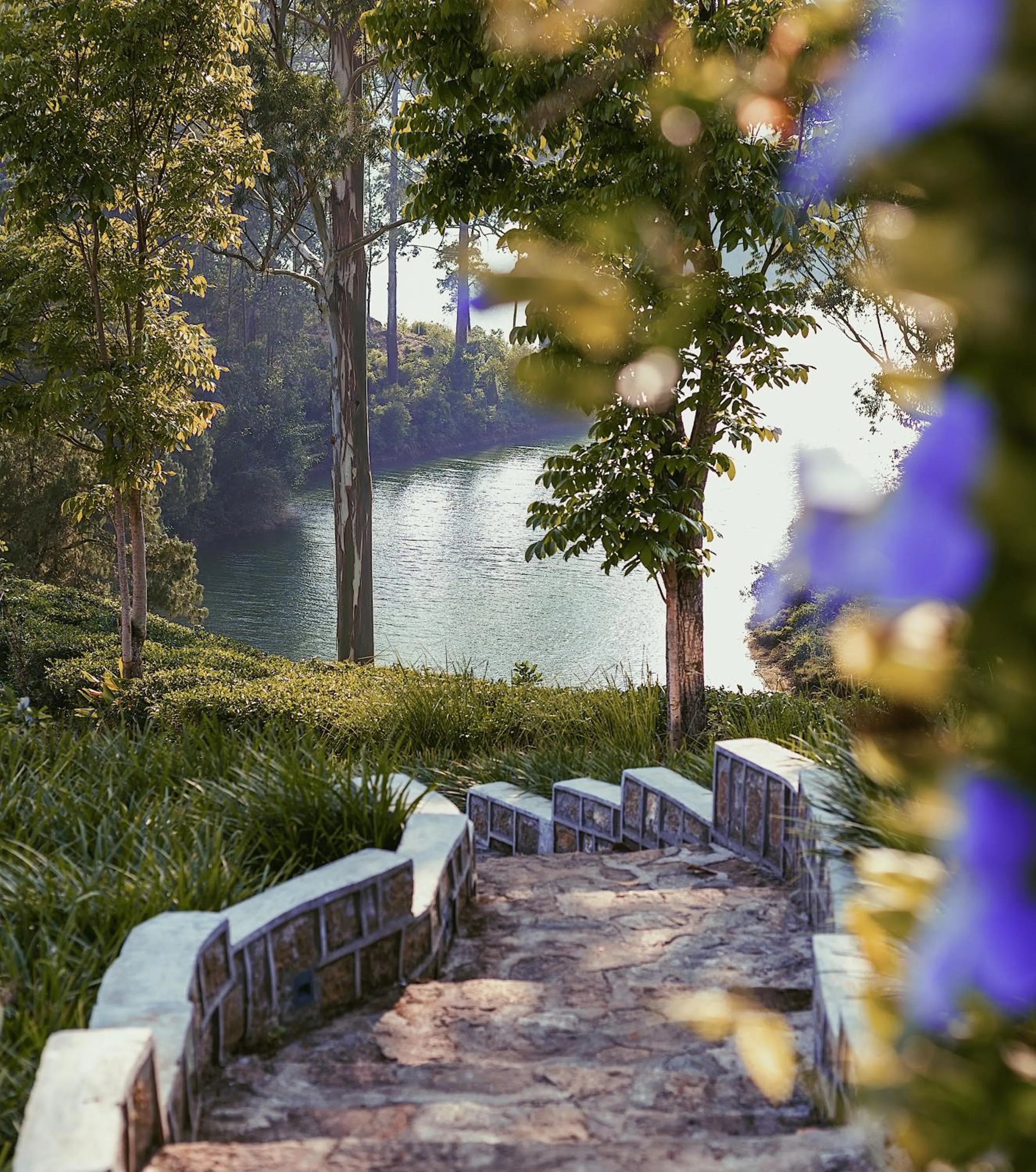 Property building in The Farm Resorts