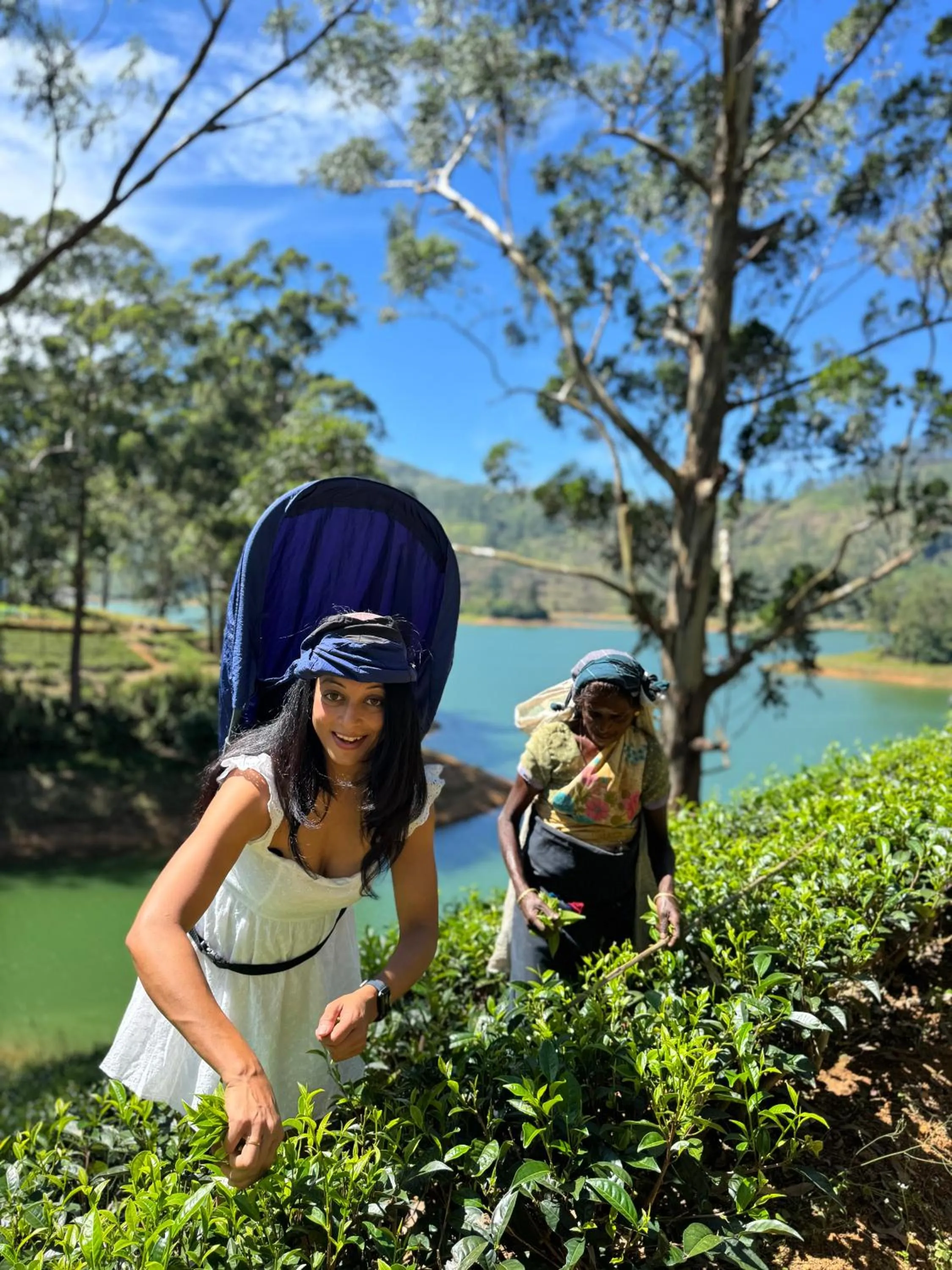 On site in The Farm Resorts