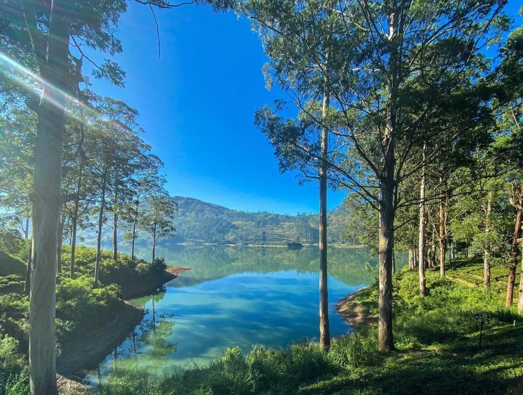 Lake view in The Farm Resorts